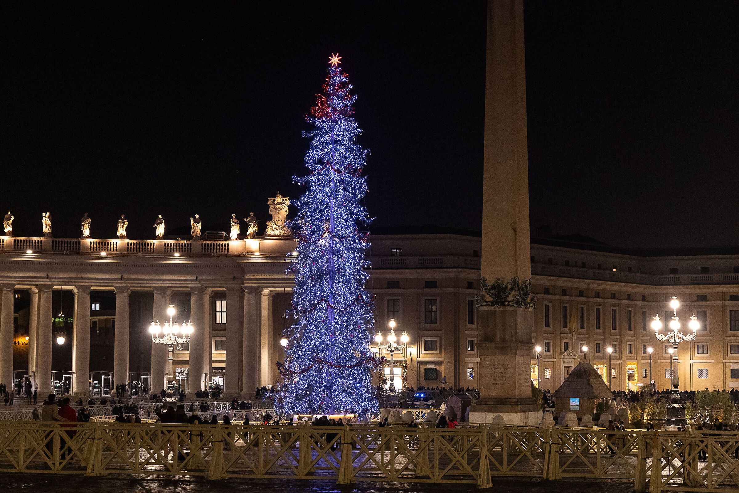 Albero di natale in piazza di San Pietro