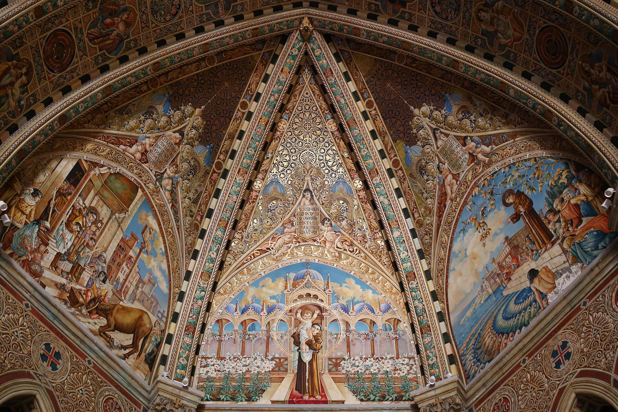 @" F.2 " Milvus Zeiss 50, 1.4- Canon 6 D