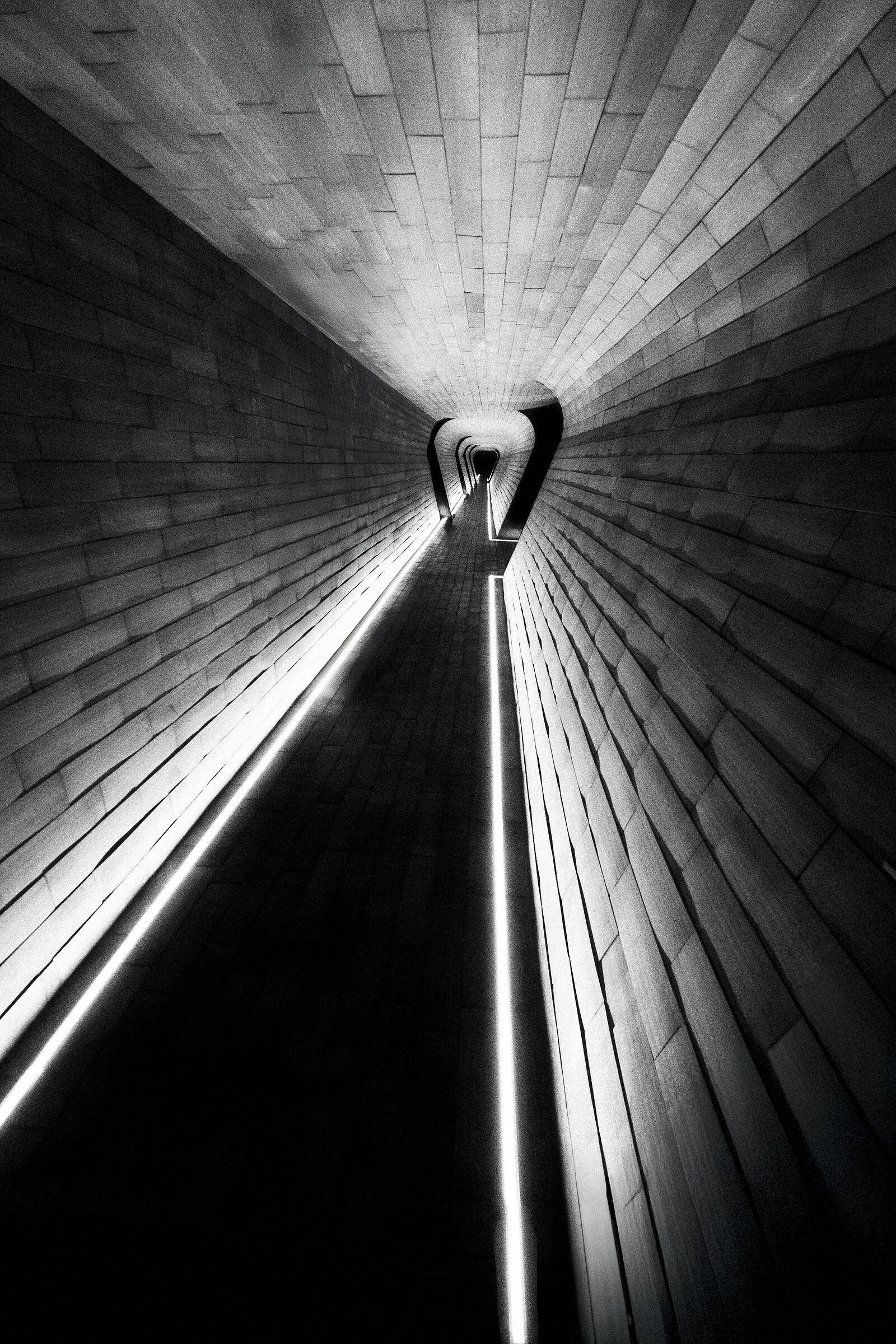 Il tunnel è del buio che collega due luci