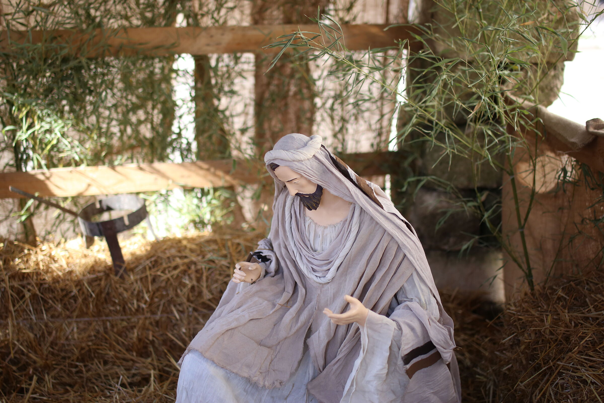 @" F.2 " Milvus Zeiss 50, 1.4- Canon 6 D