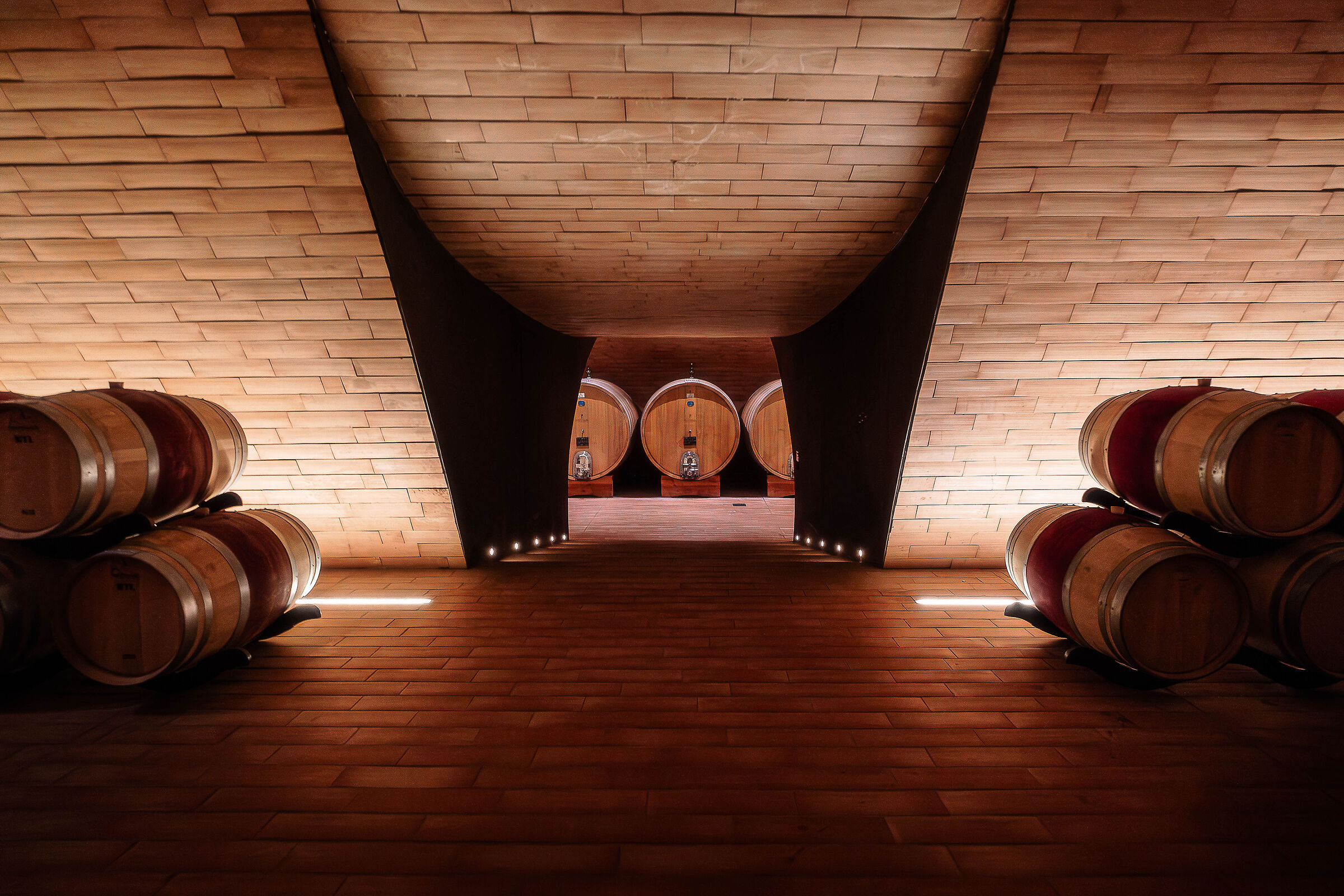 Questo è il vino memoria fantasia meditazione allegri...