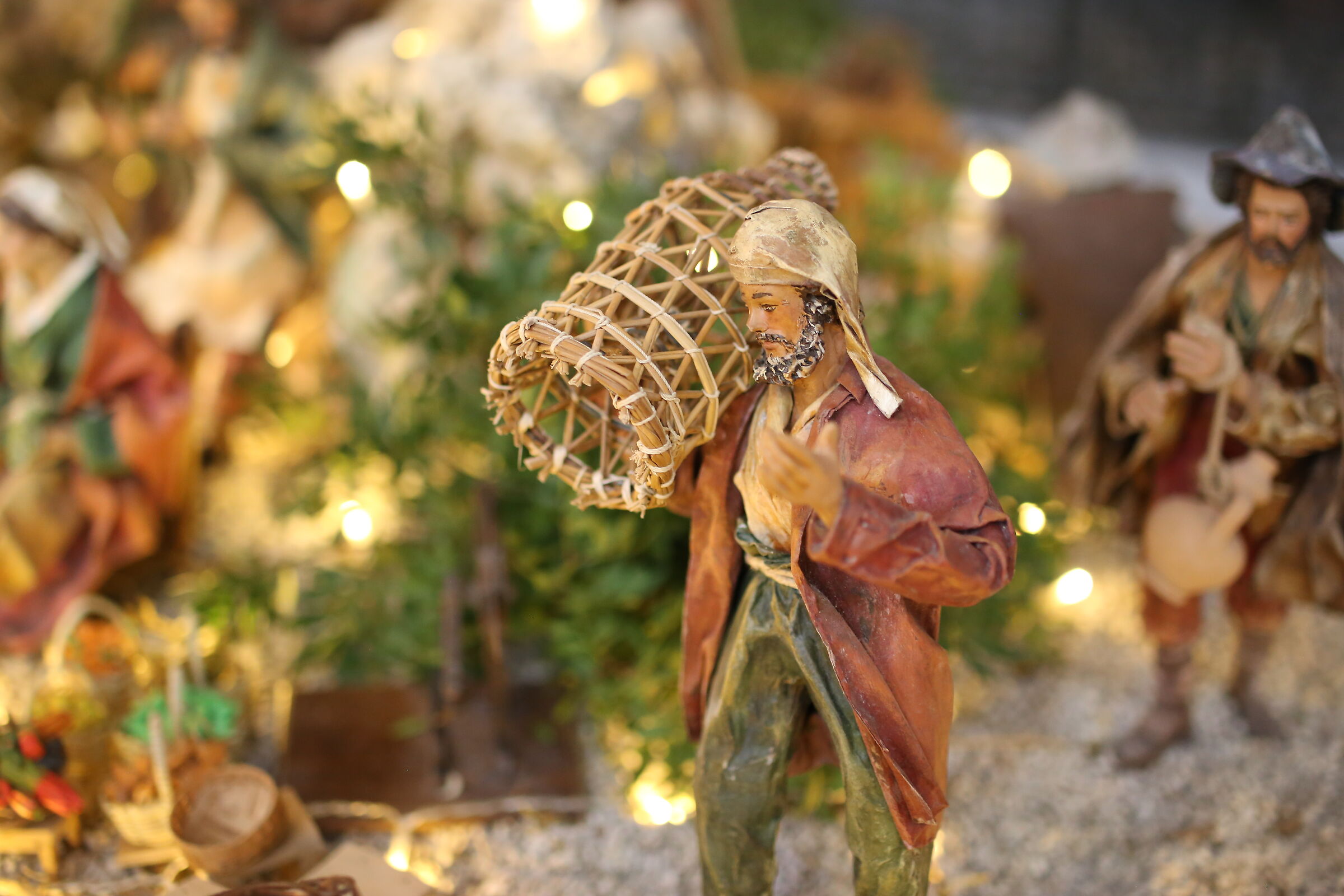 @" F.2 " Milvus Zeiss 50, 1.4- Canon 6 D