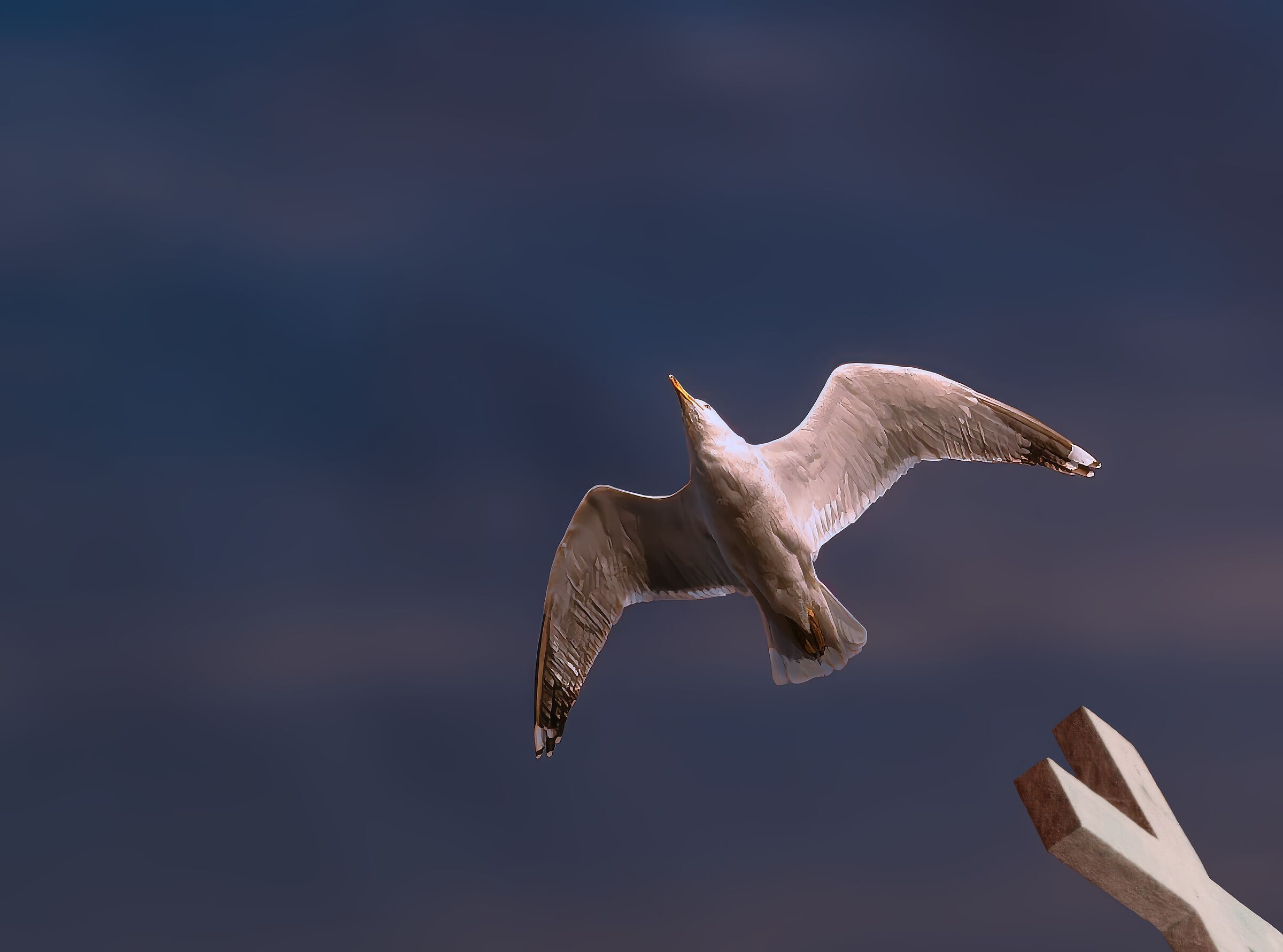 Freedom and spirituality