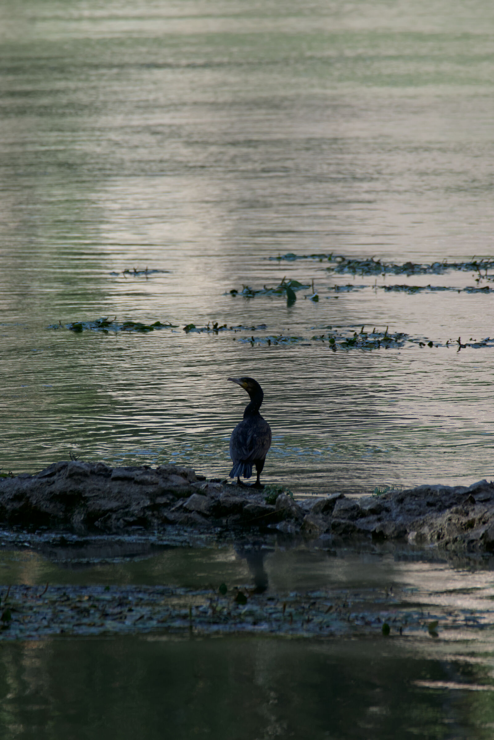 Questo fiume è il mio fiume.