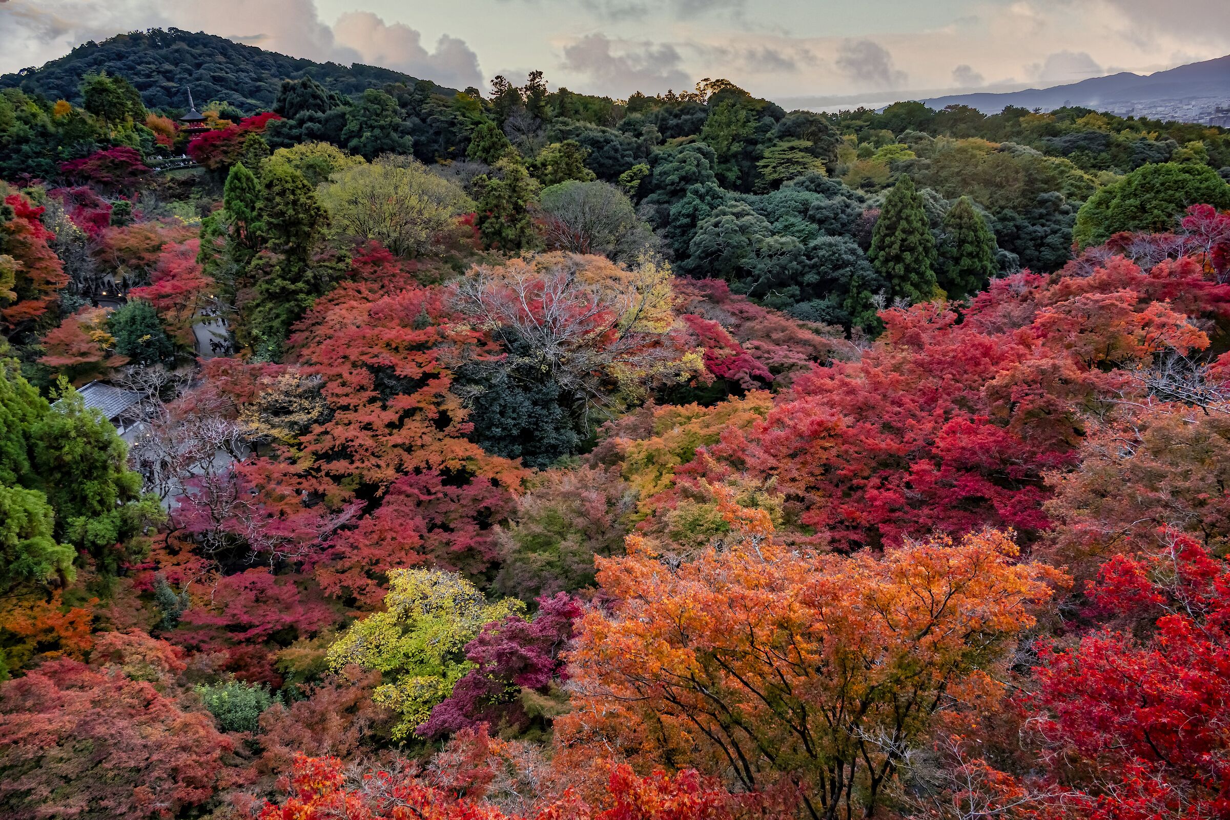 Kyoto - Foliage al Kyomizudera