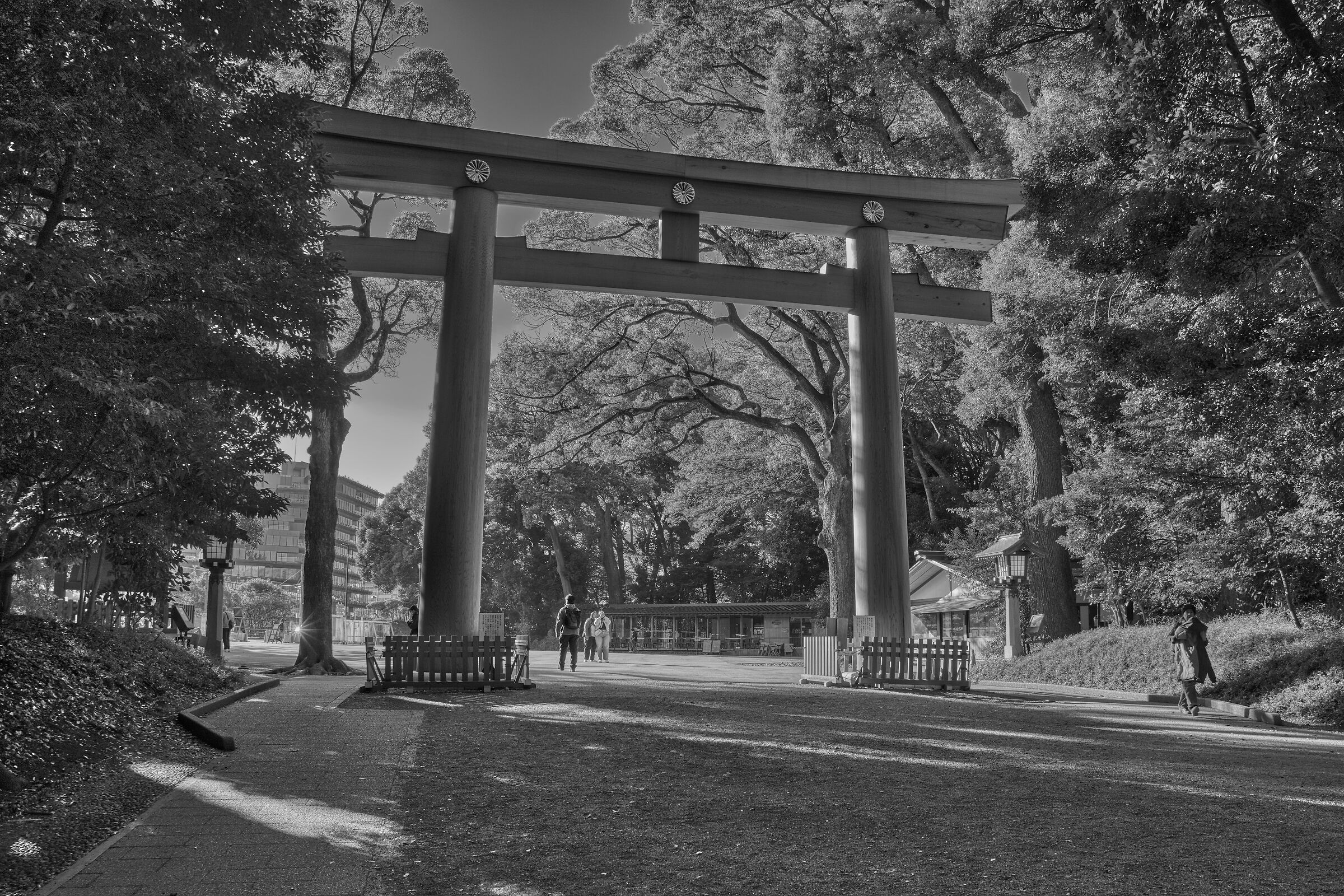 Tokyo - Meiji Jingu