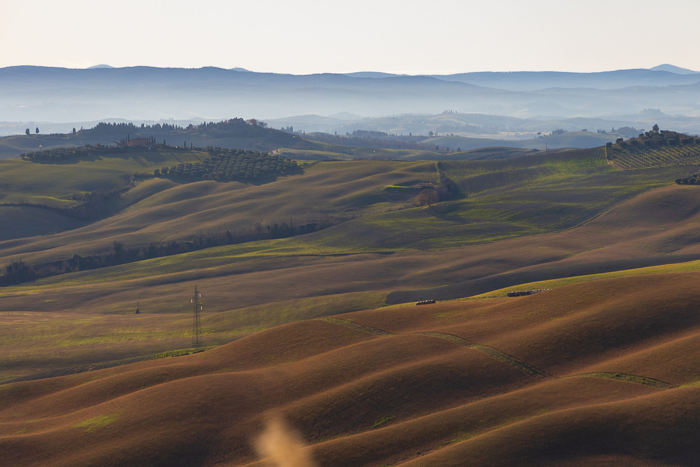 Colline Senesi