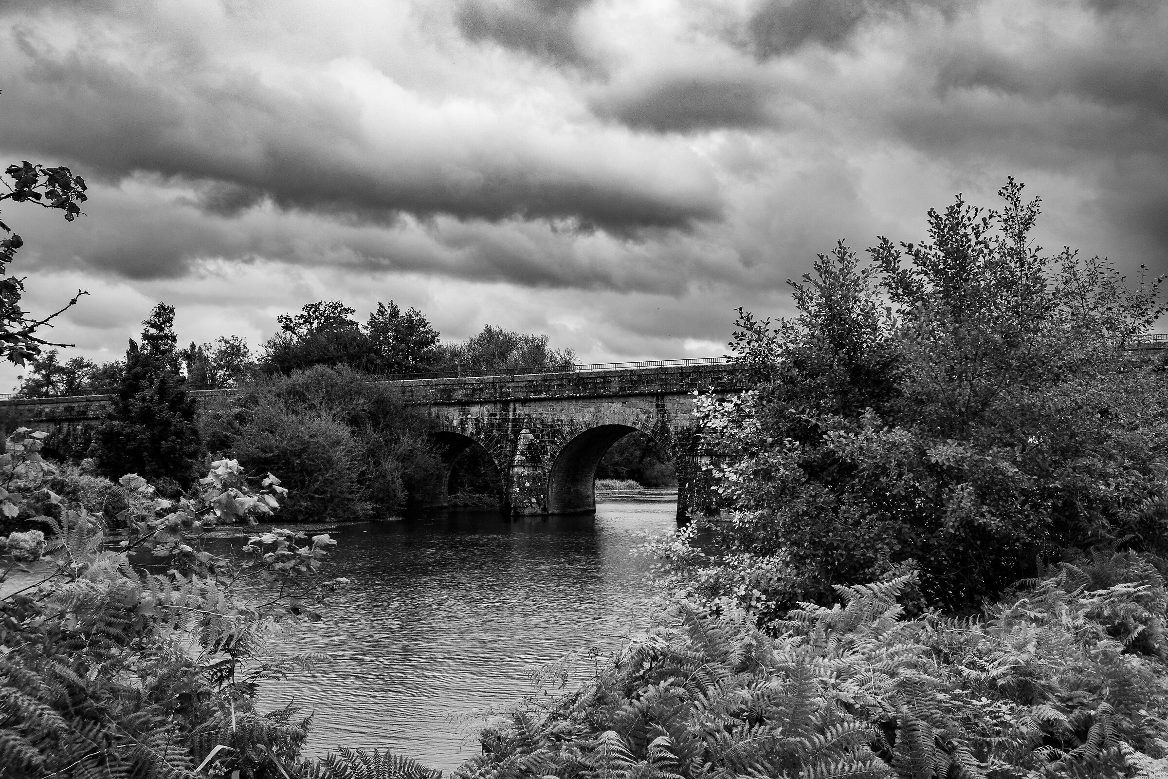 Untitled Photo