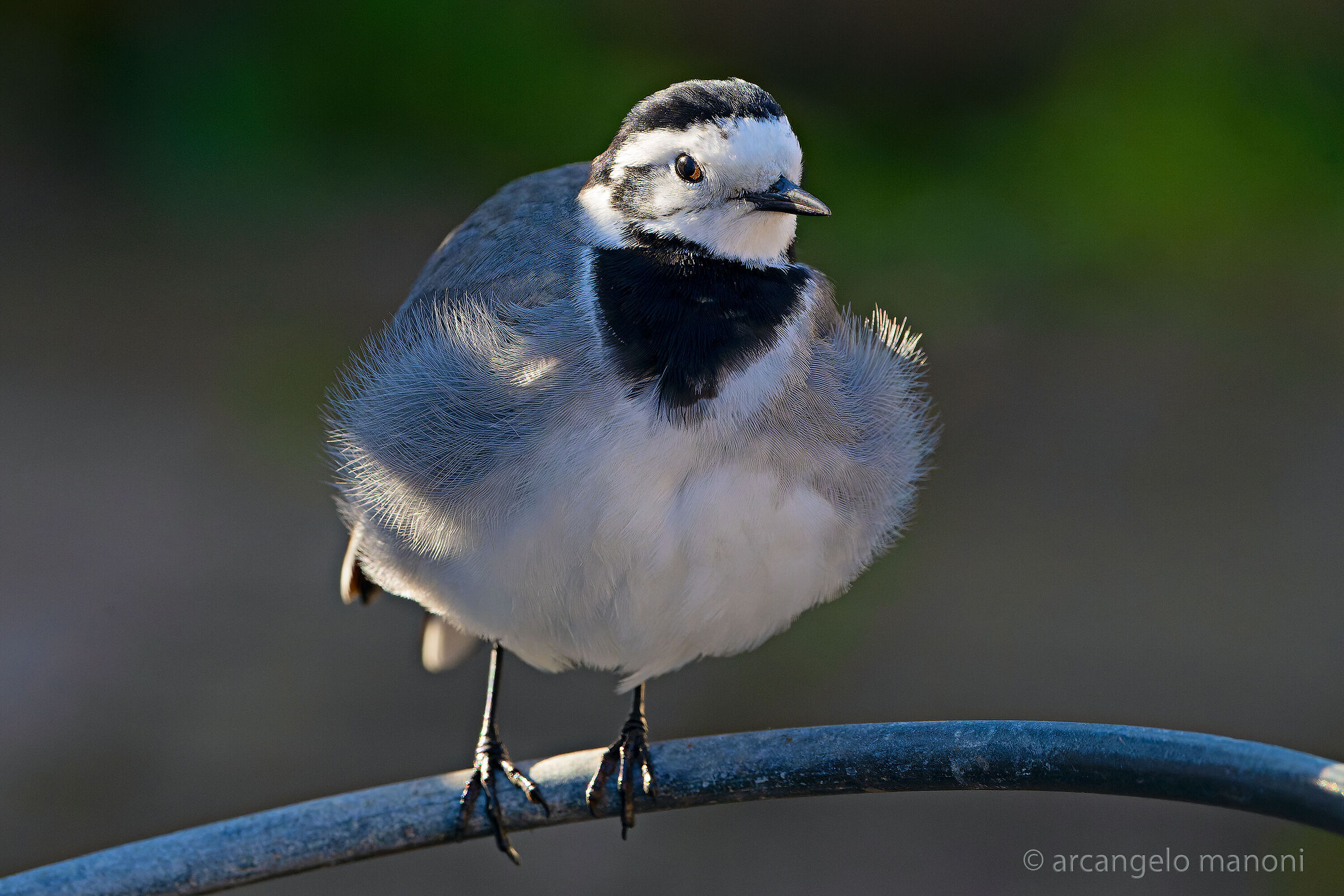 The cold makes me a mustache... I have the built-in duvet!