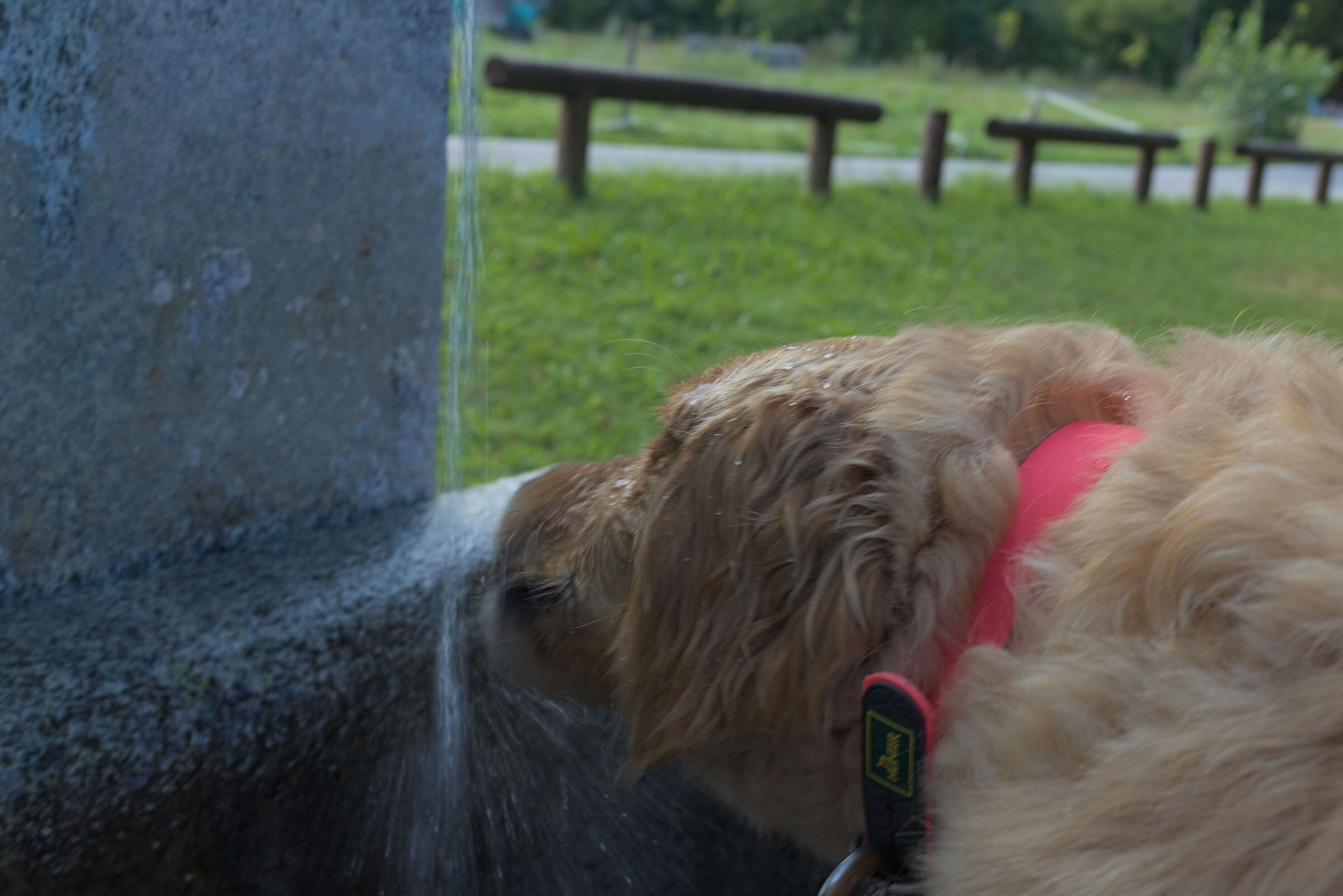 M. #26. How I drink from the drinking fountain