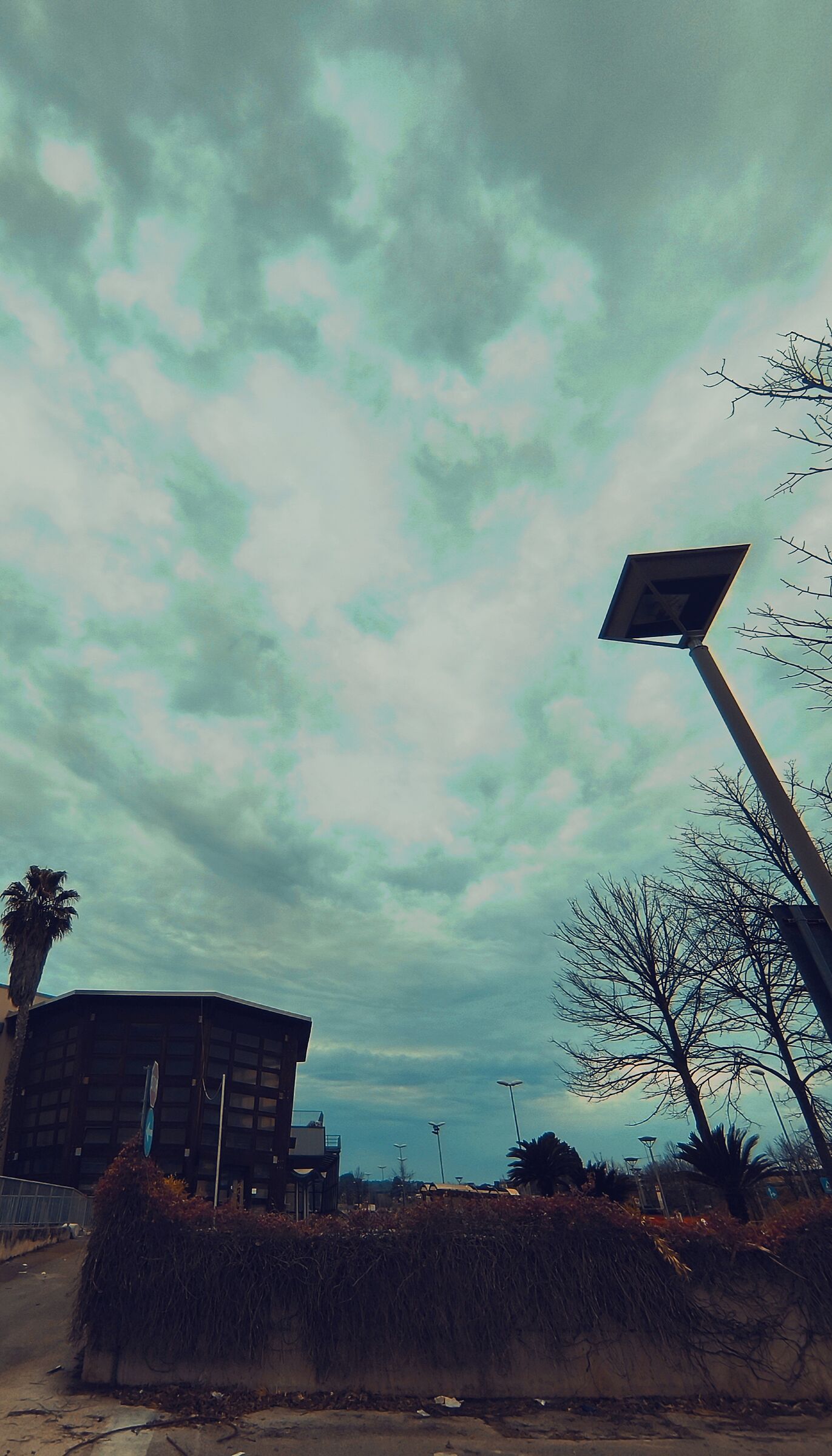 Ghosts of Christmas Past3