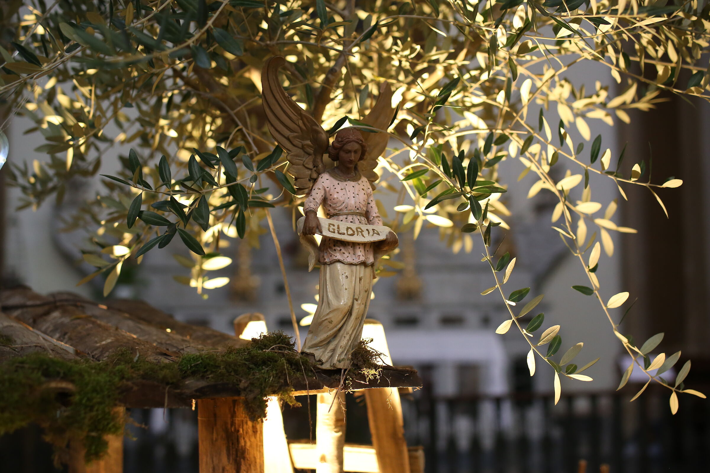 Milvus Zeiss 50, 1.4- Canon 6 D