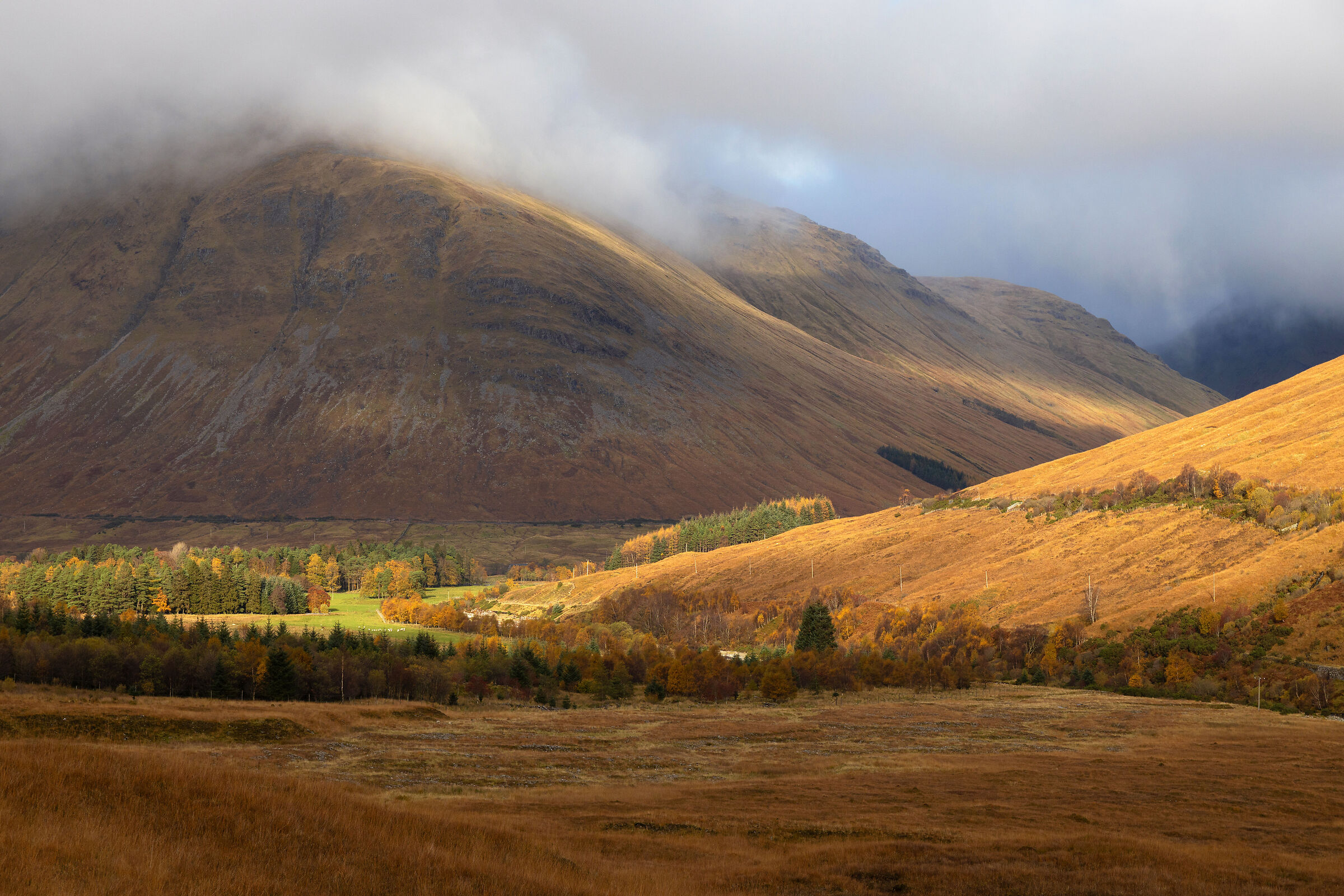 Highlands in autumn