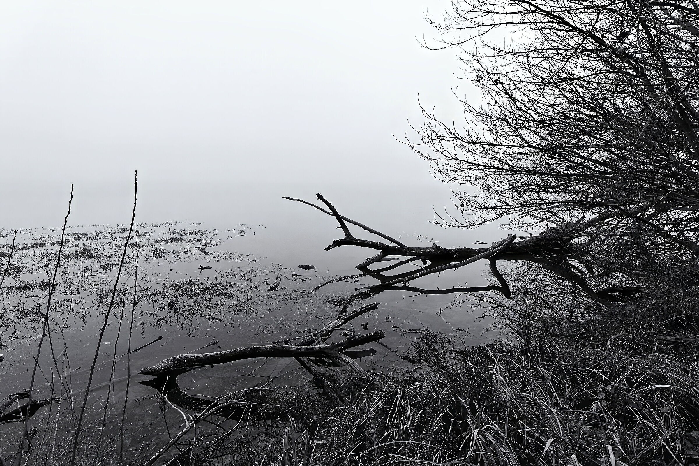 Nebbia al Lago di mezzo