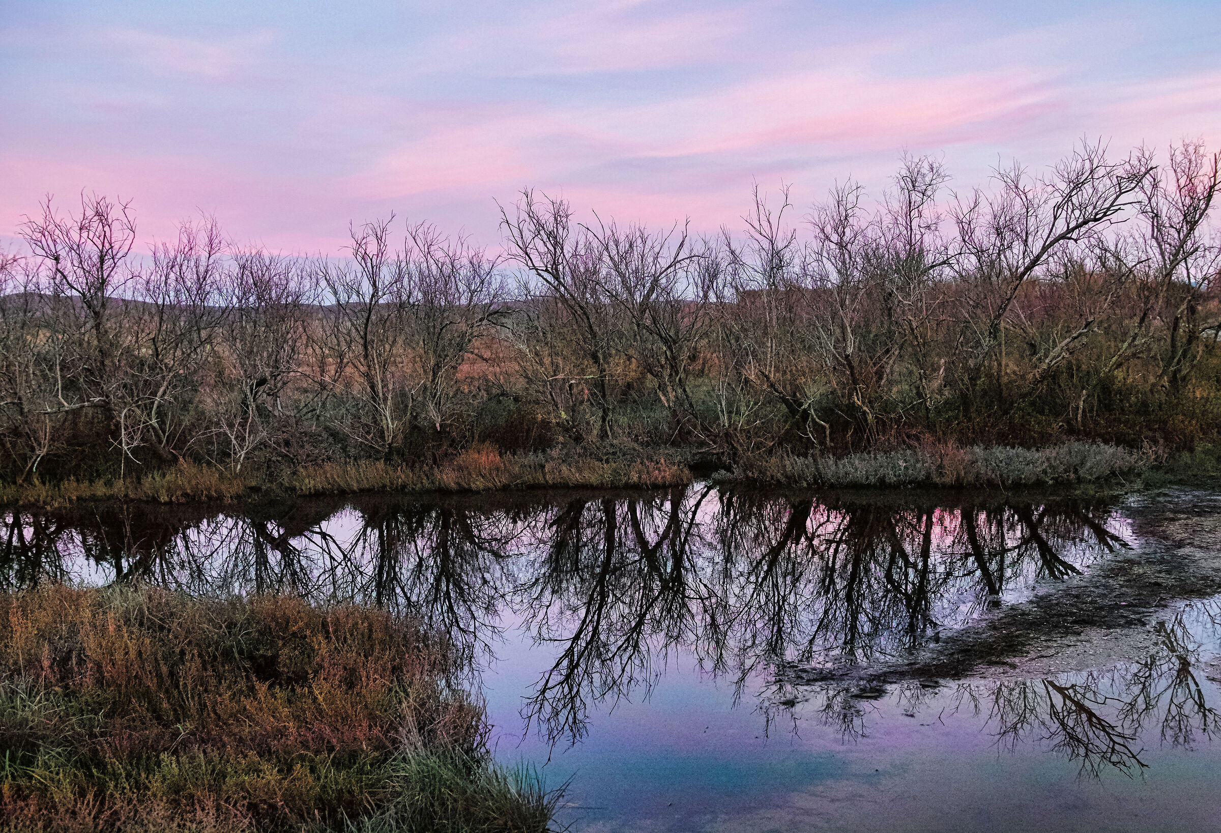 Parco della Sterpaia Gen.25