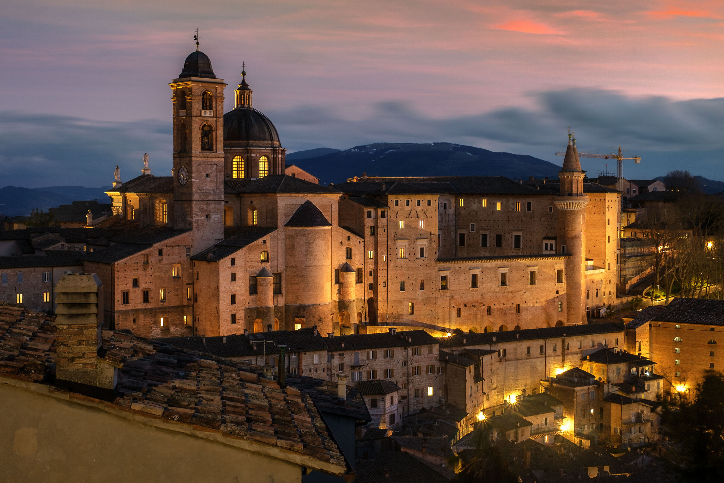 Urbino