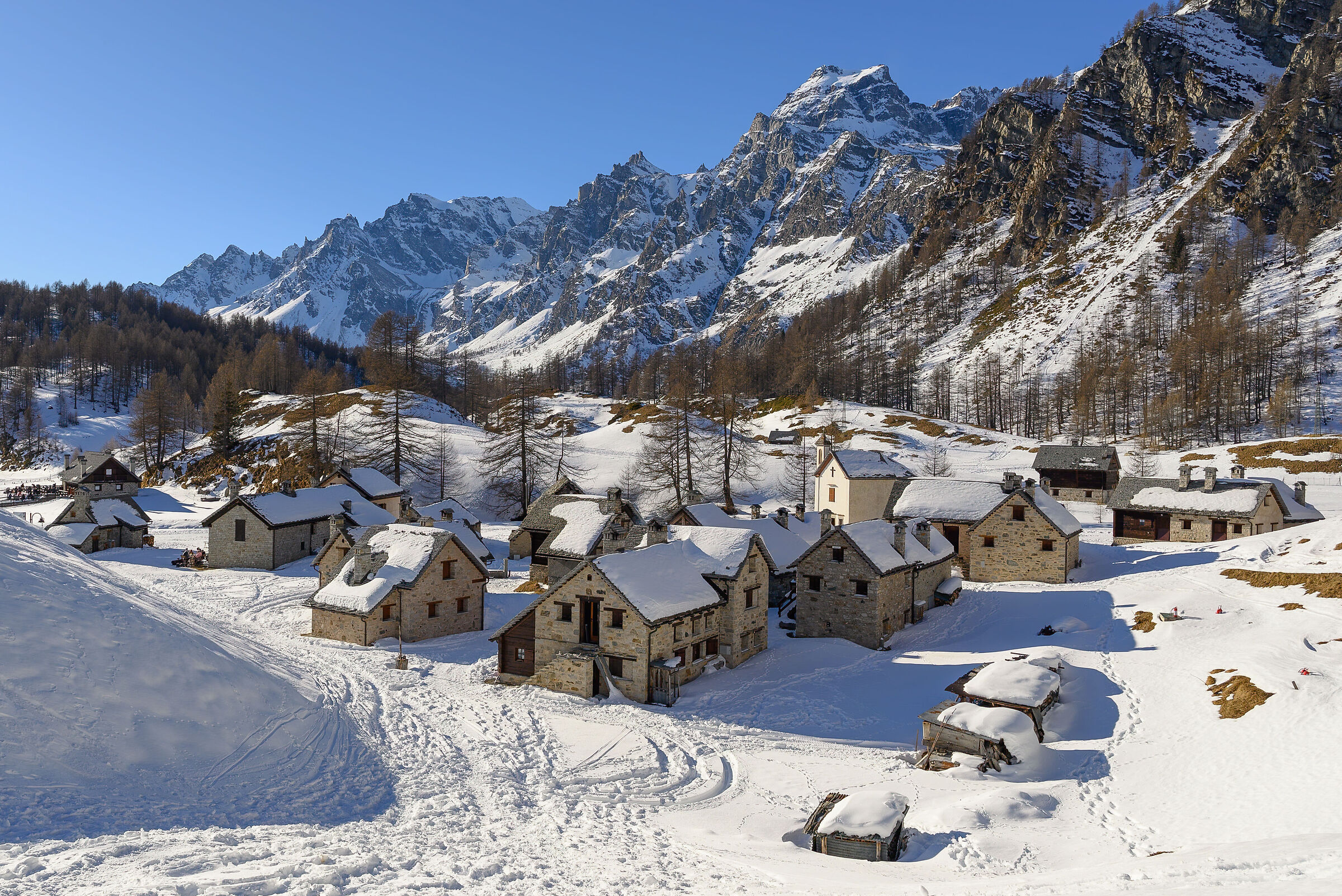 Crampiolo d'Inverno