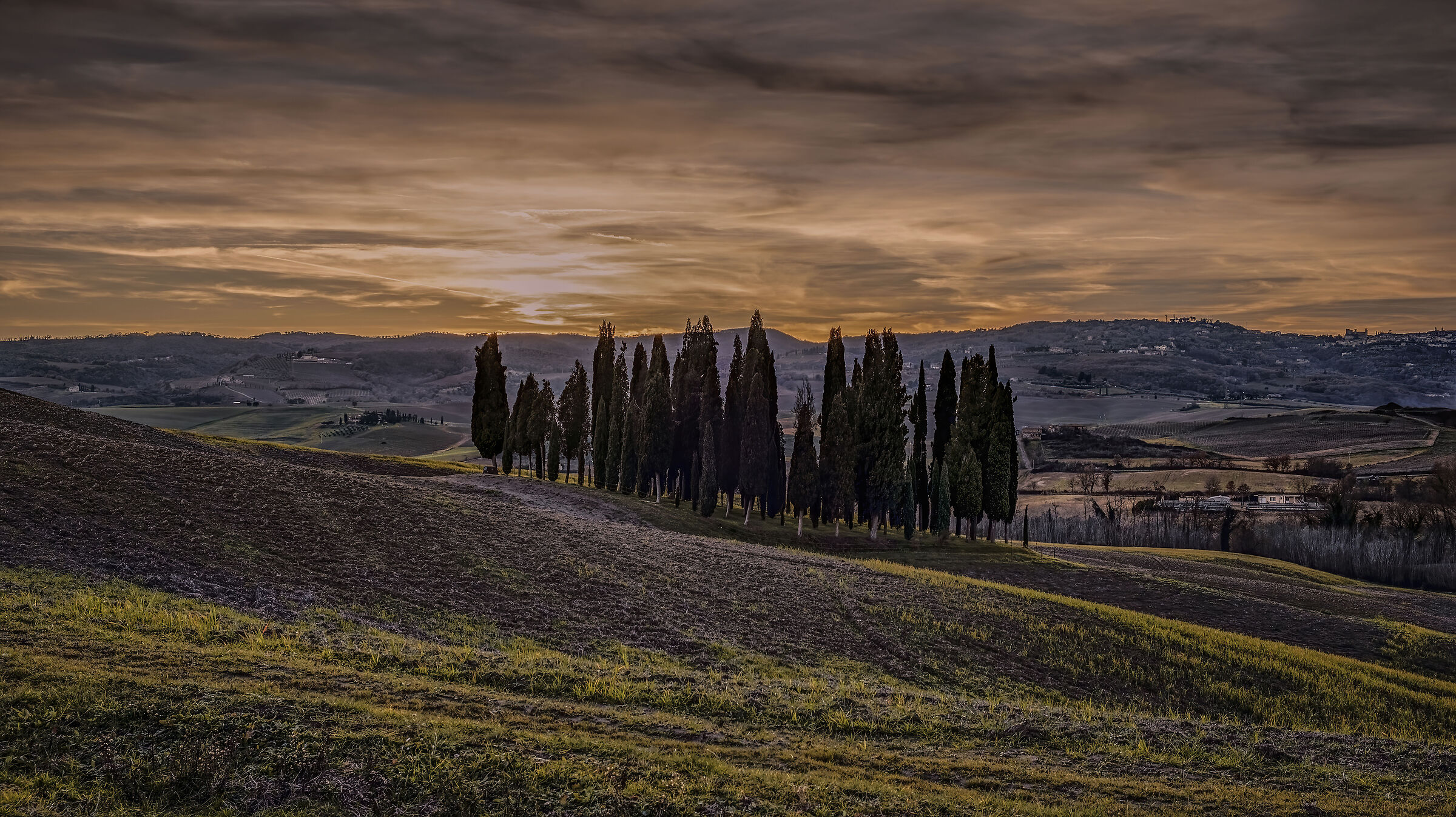 Il Boschetto Dei Cipressi - Val D'orcia