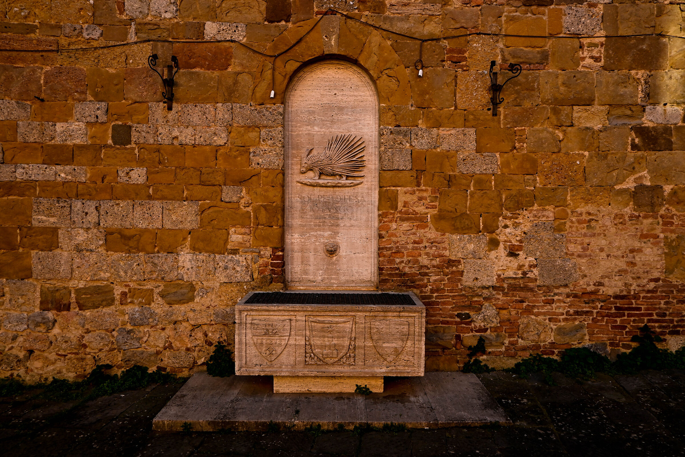 Only for defense I sting.