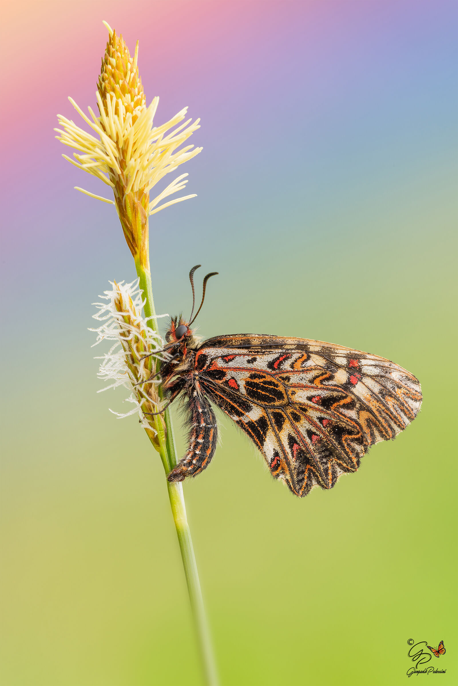 Nostalgia...in attesa della primavera