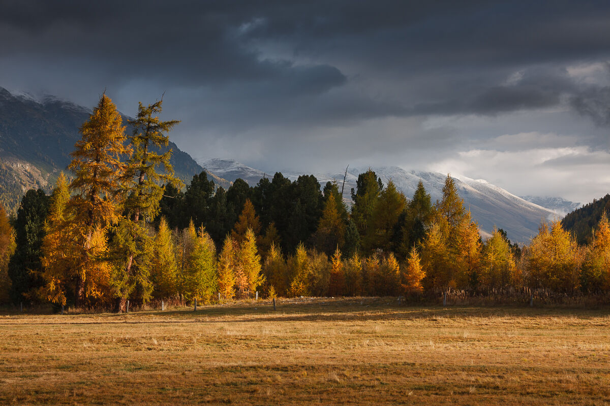 Morning light in Samedan ...