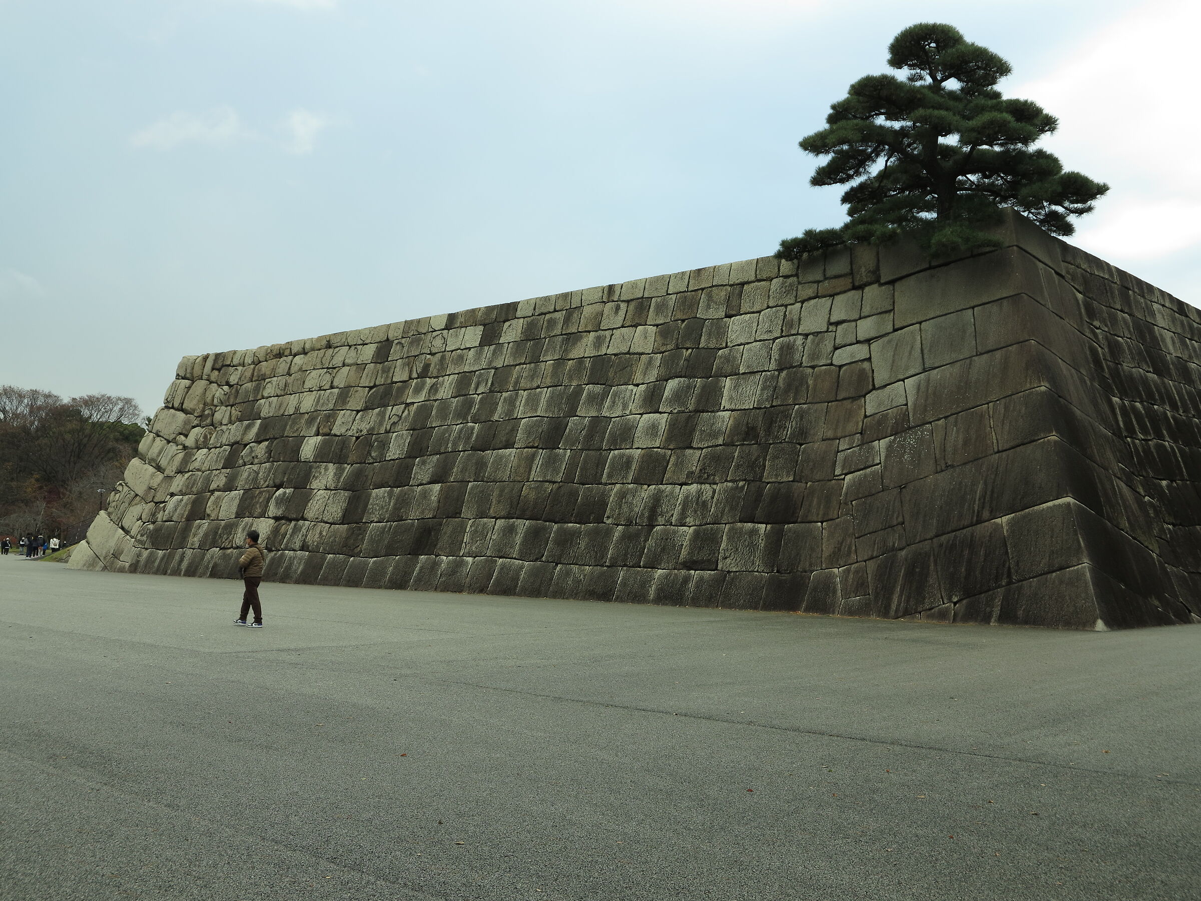 Palazzo imperiale di Tokyo