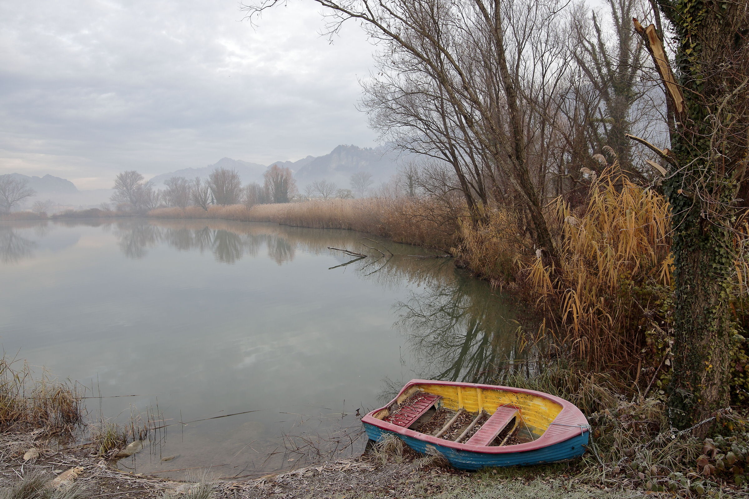 Stagno di Brivio