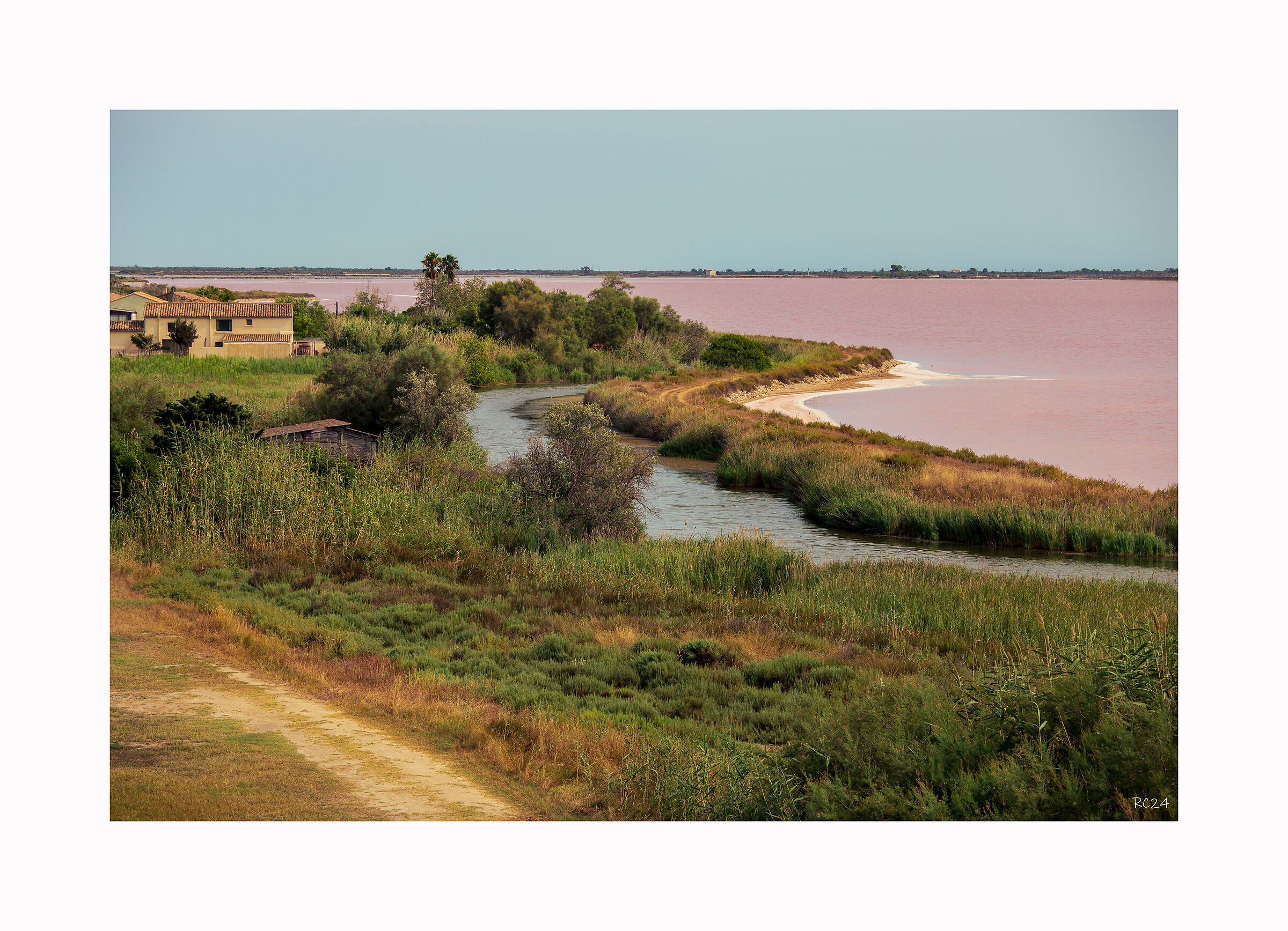 Aigues-Mortes, saline.