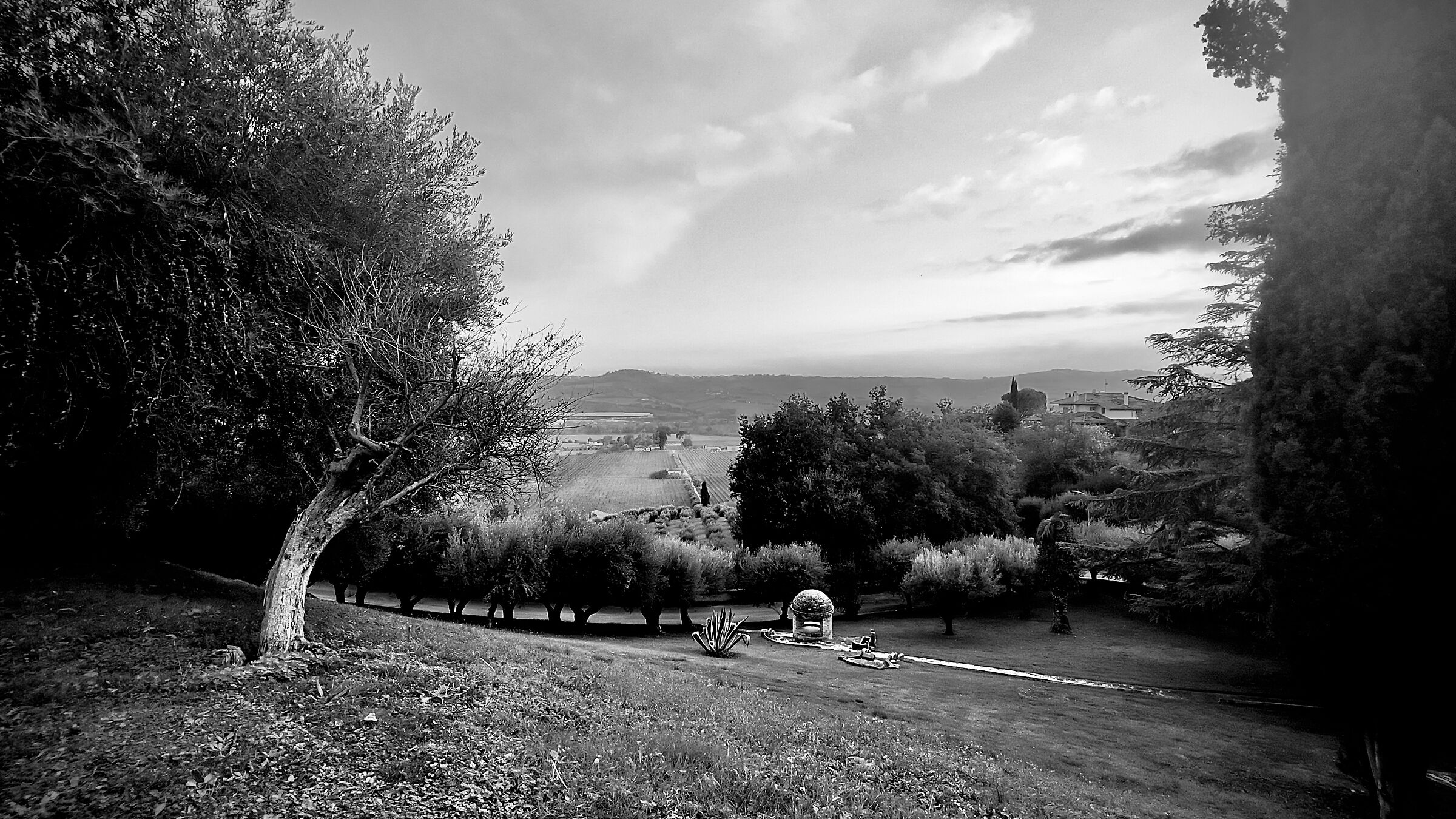 Bucolic landscape in black and white