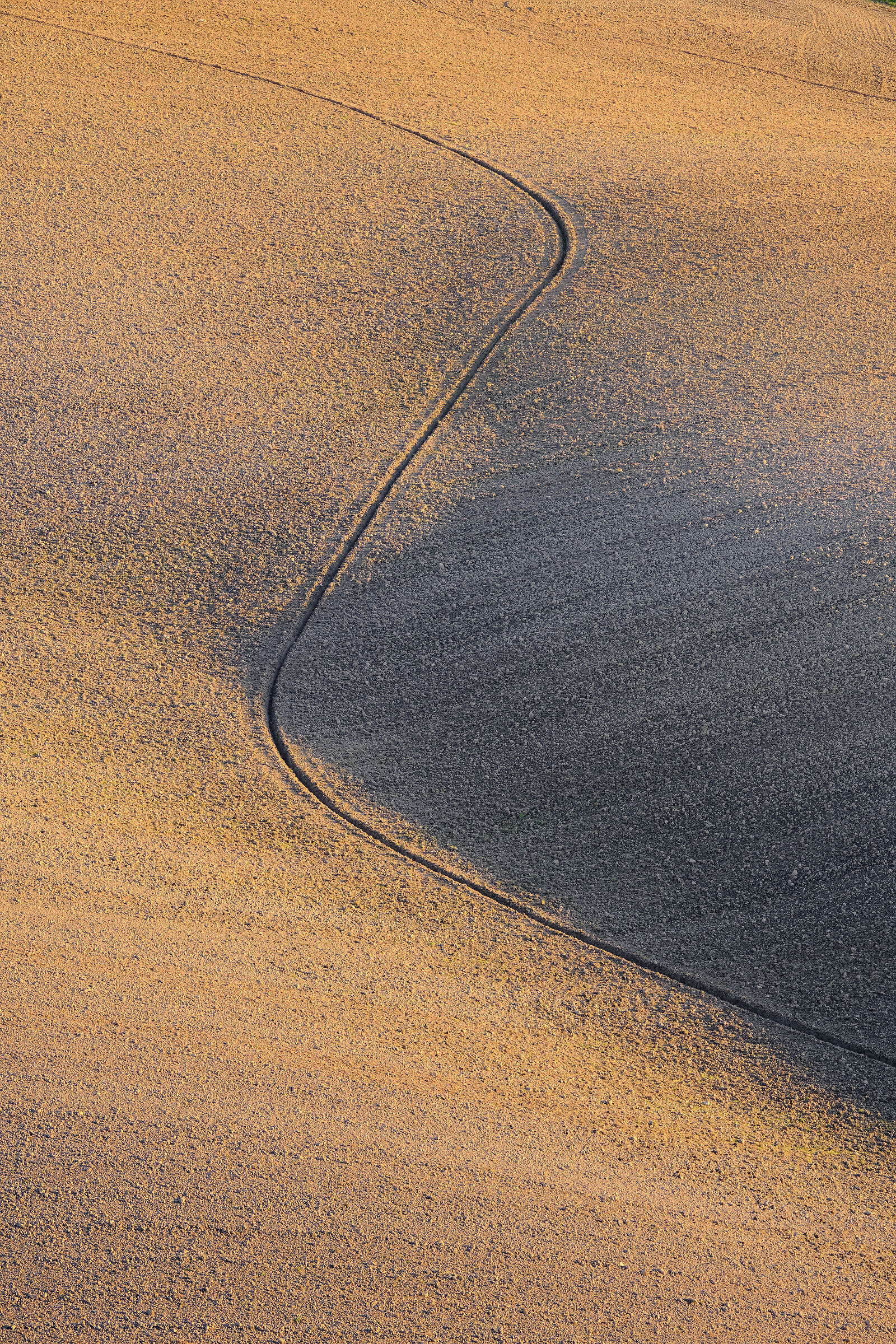 Plowed field in the Crete Senesi