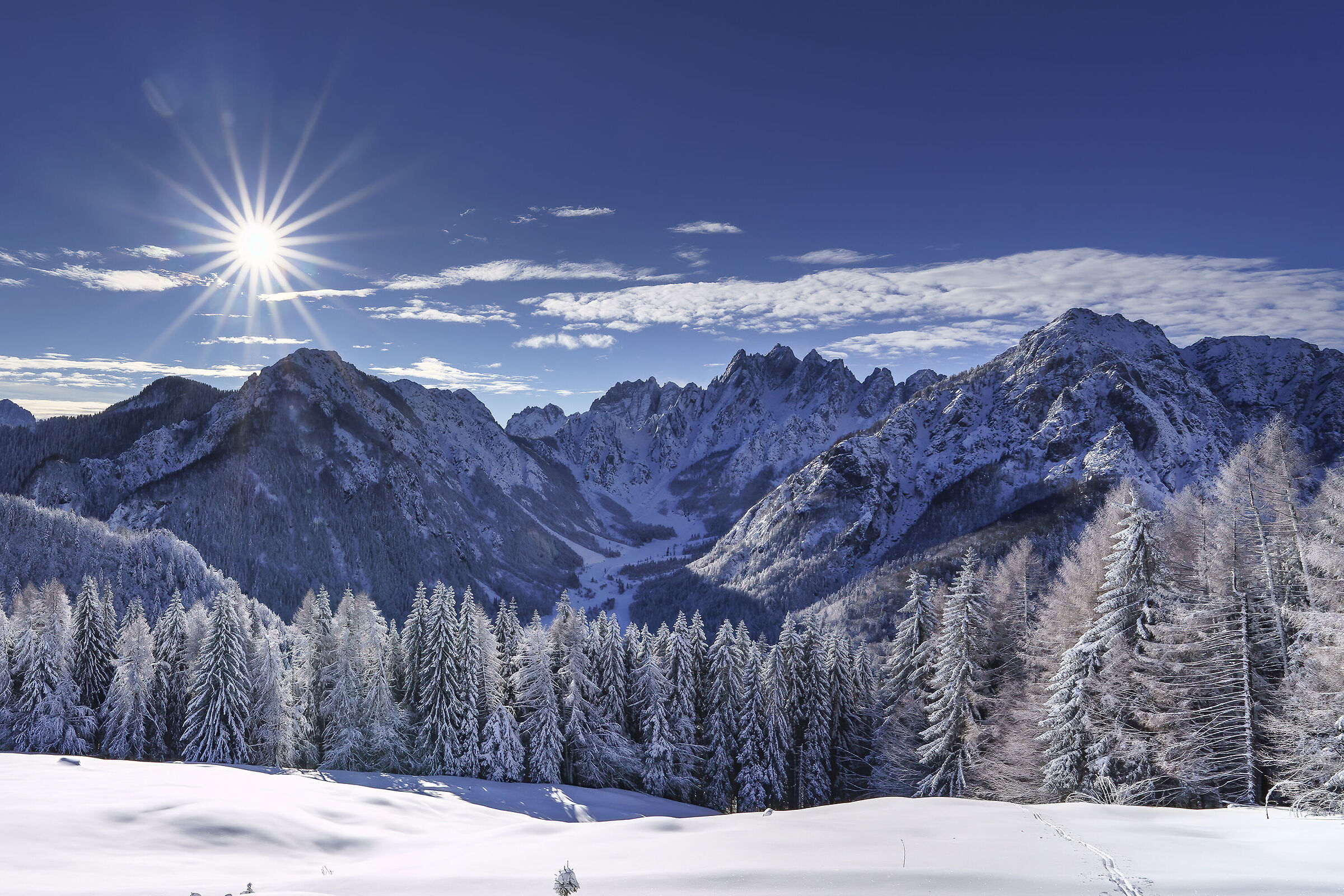 Winter , alpi carniche