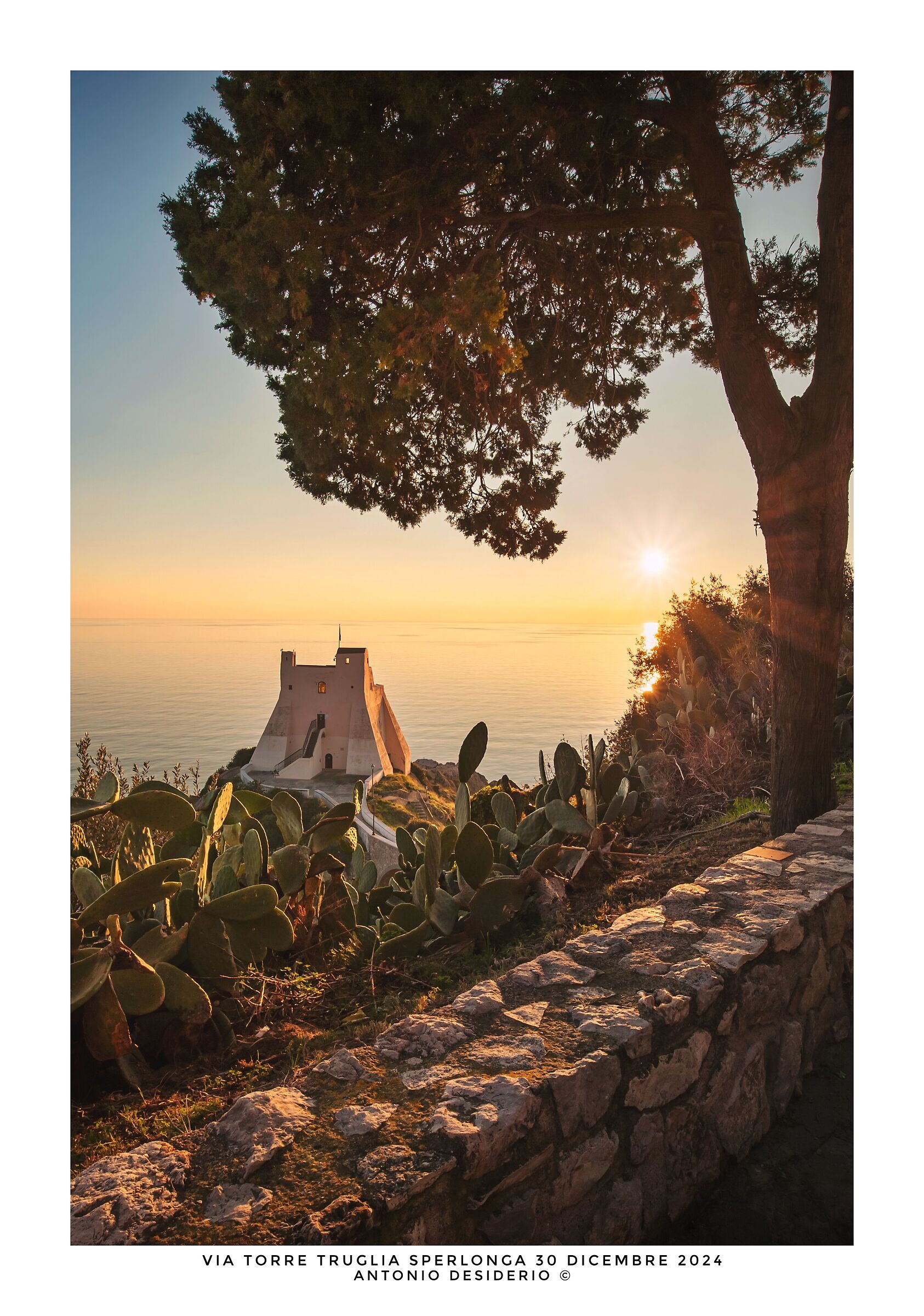 Ultima uscita del 2024