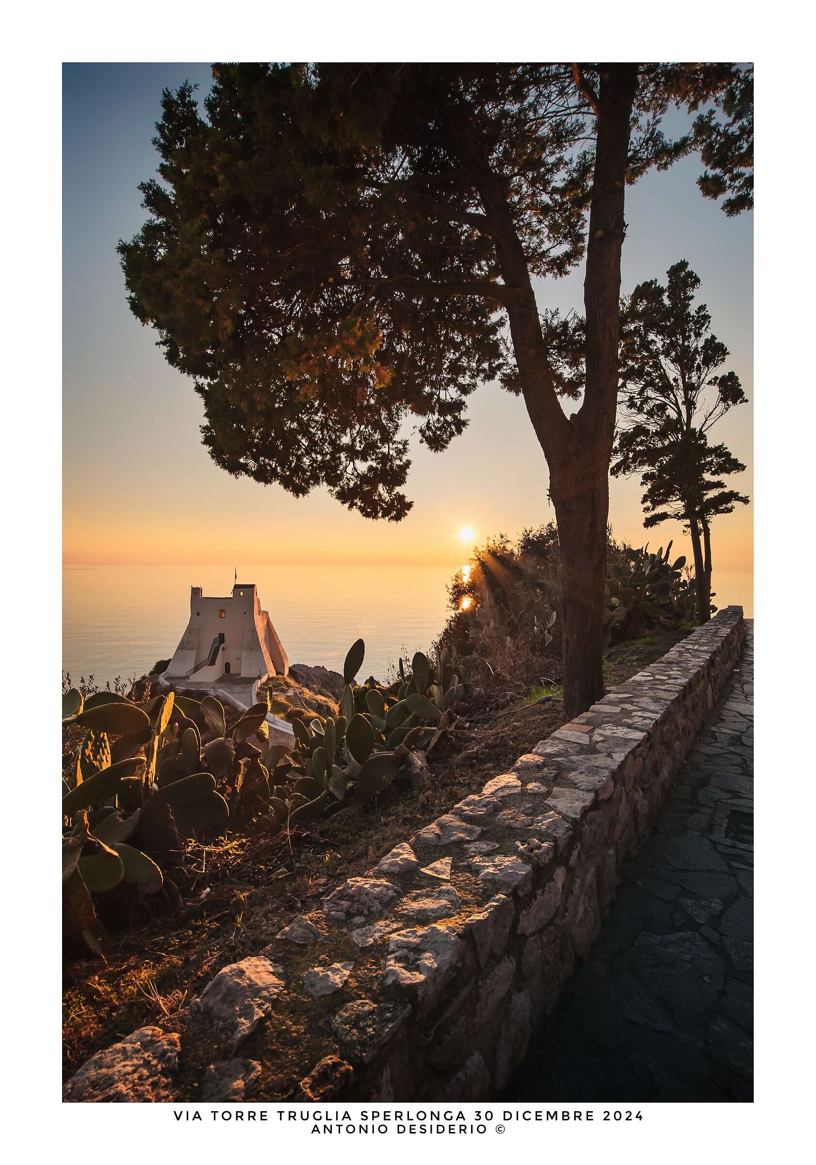 Ultima uscita del 2024