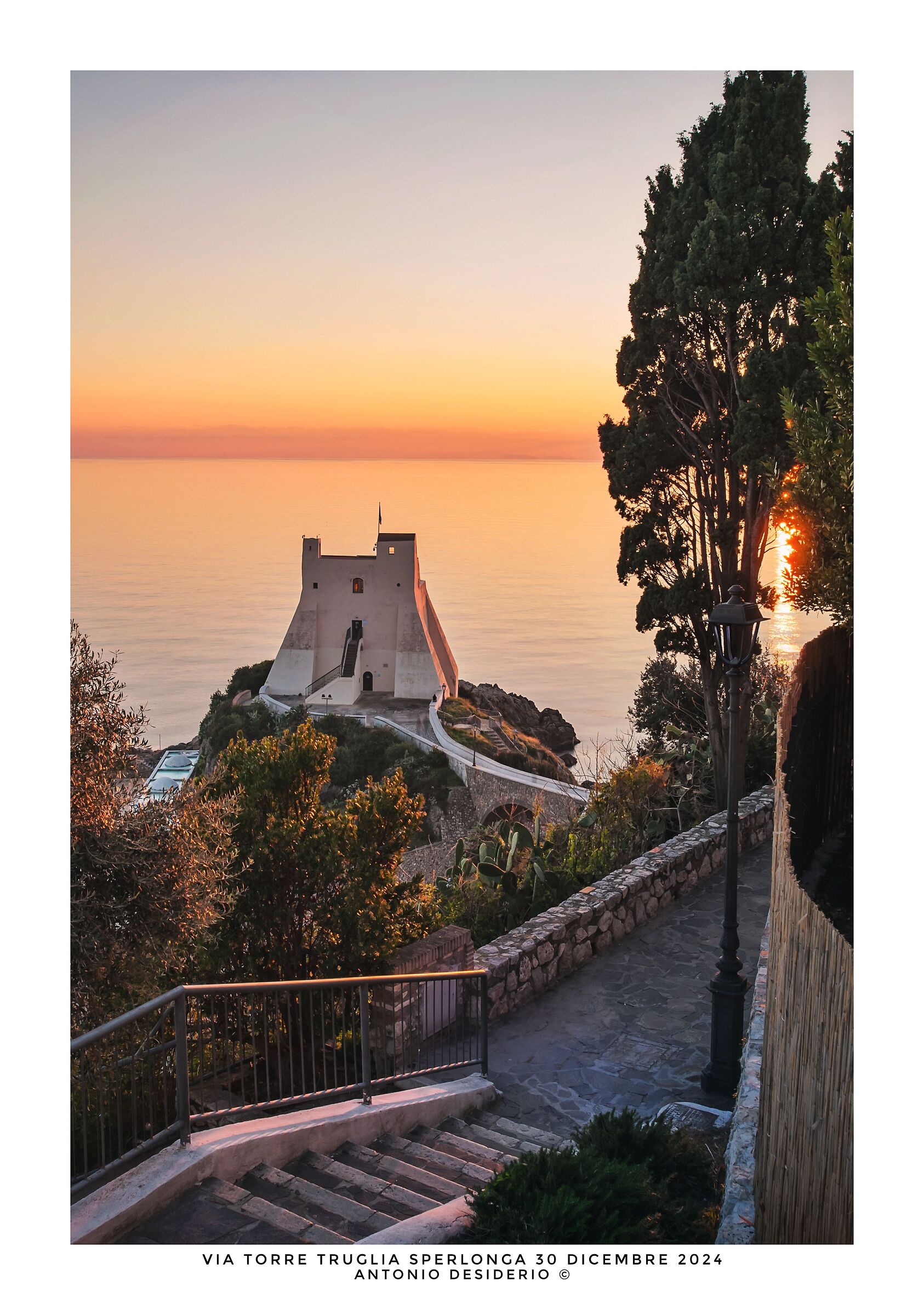 Ultima uscita del 2024