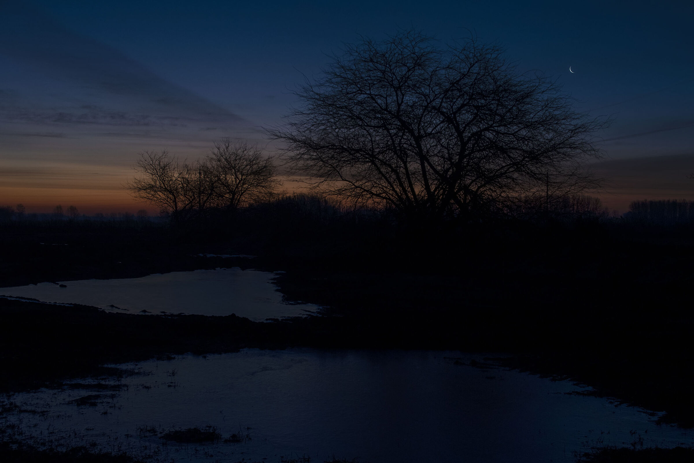 Before dawn