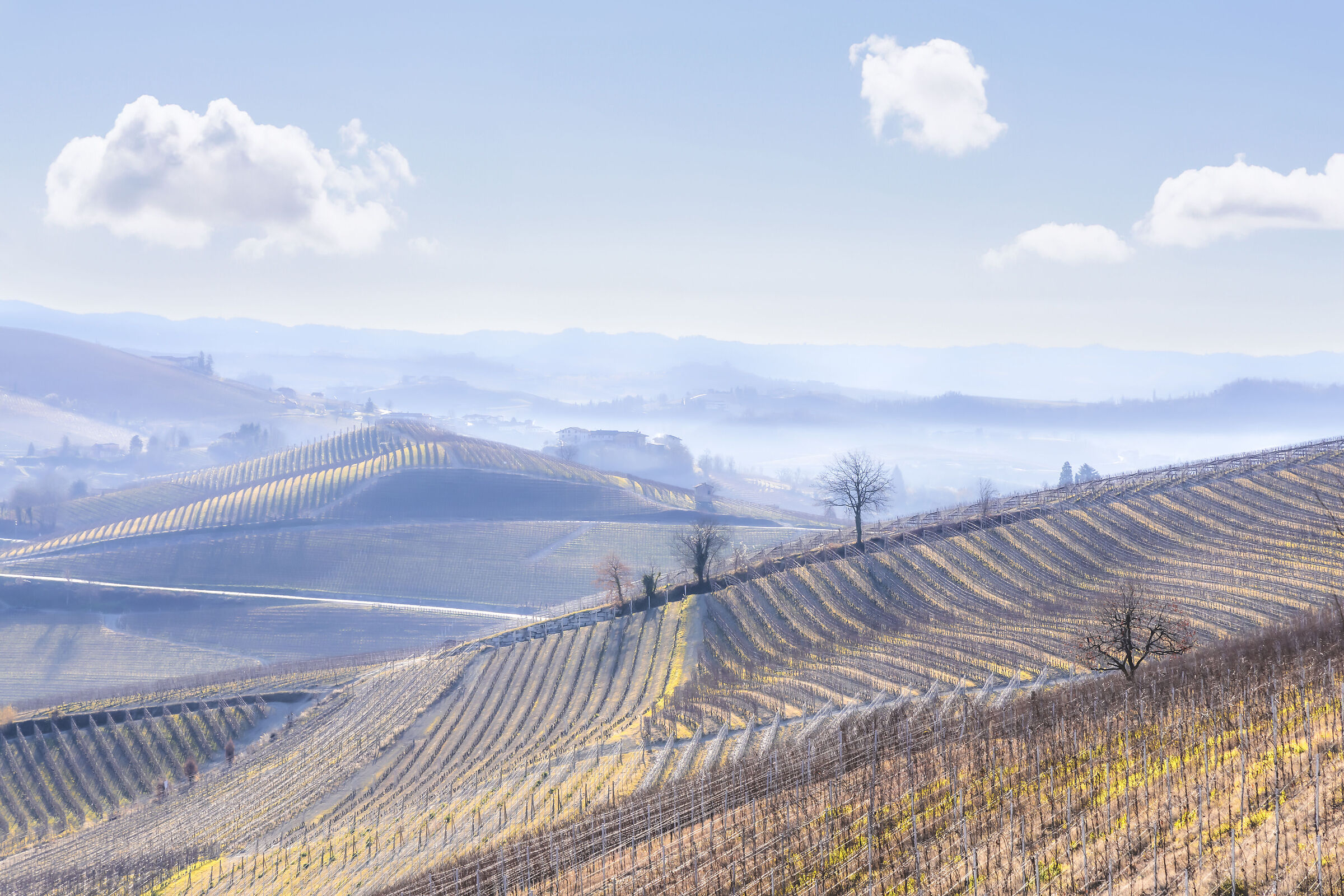 Nelle terre del Barolo