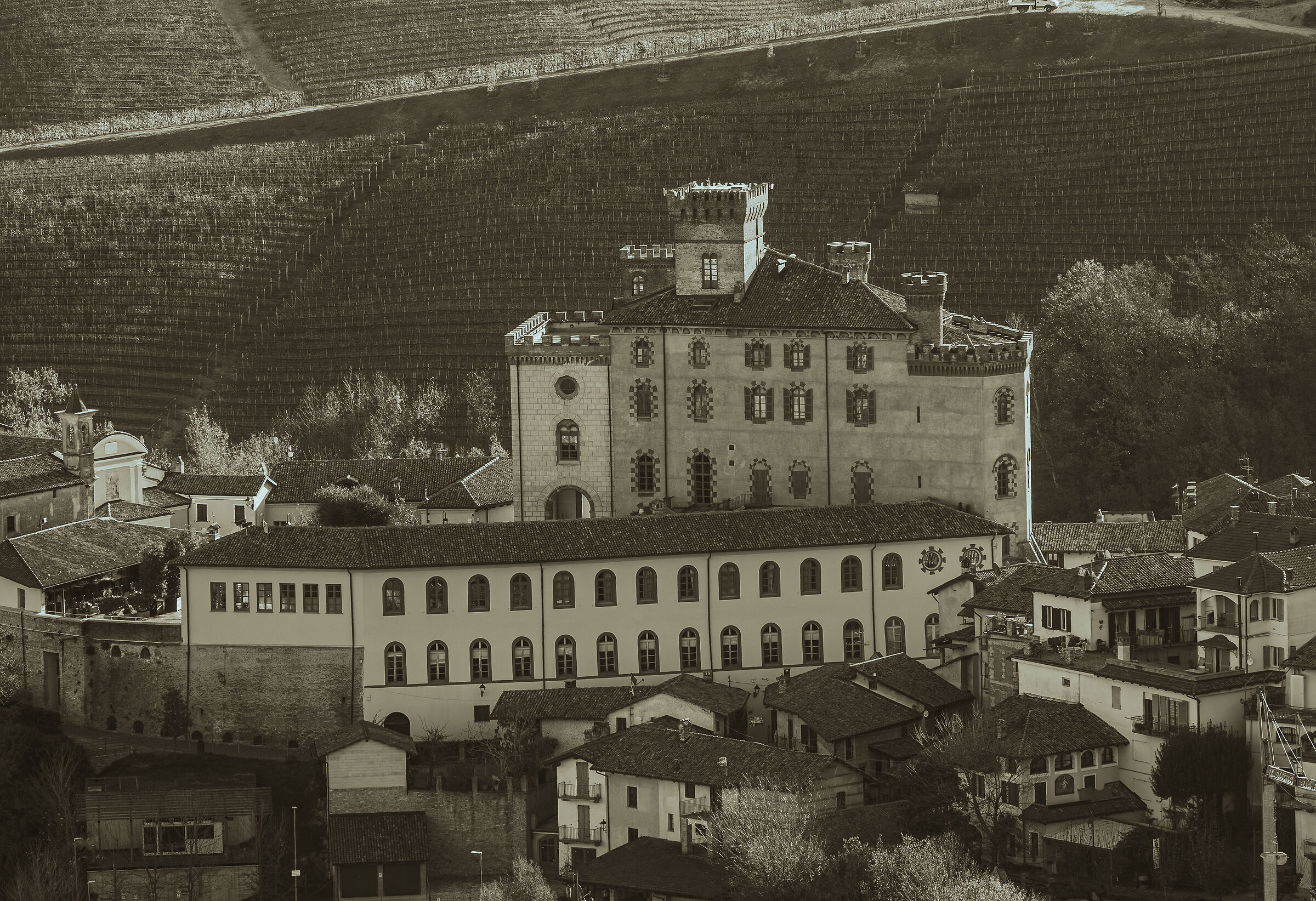 Castello di Barolo - Langhe