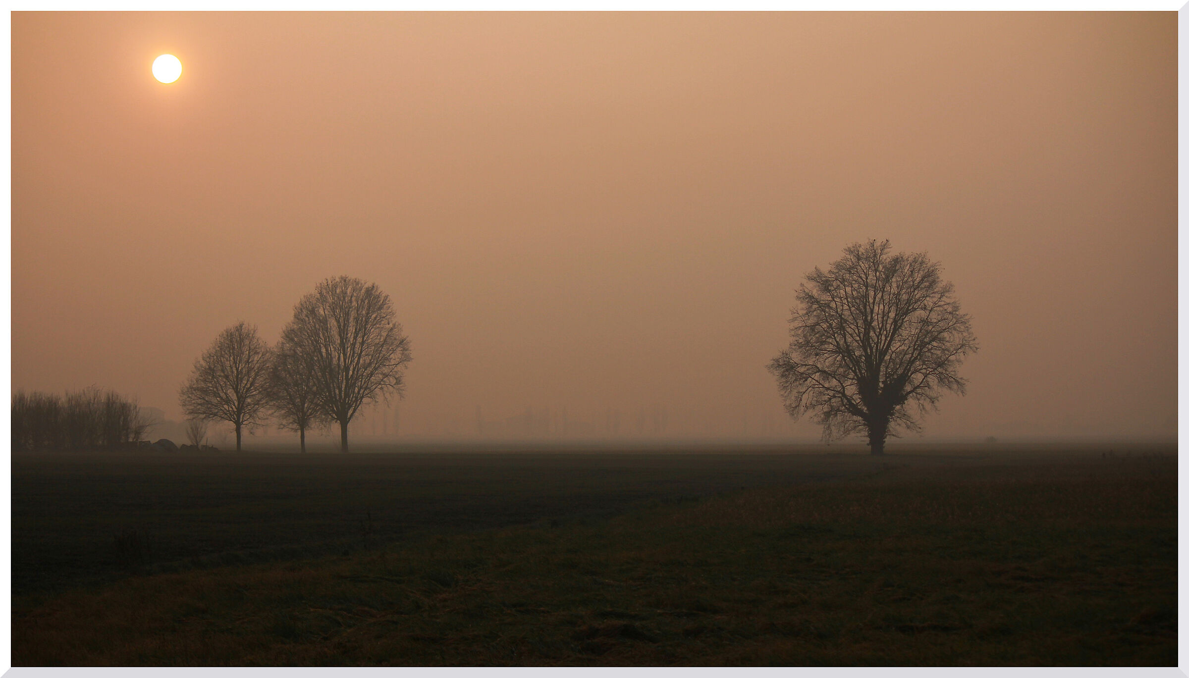 Nebbia rossa..