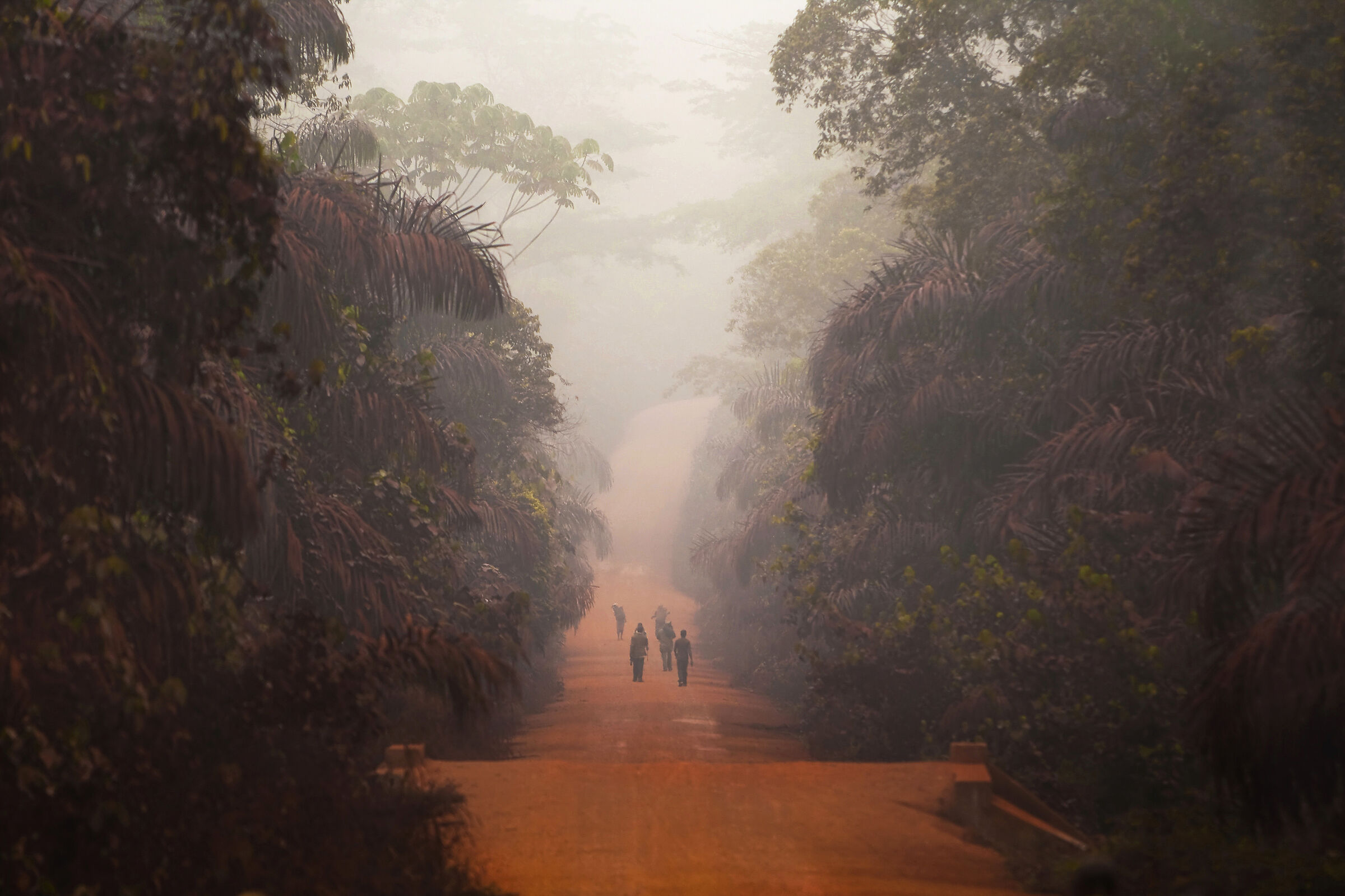 Cameroon's Red Routes