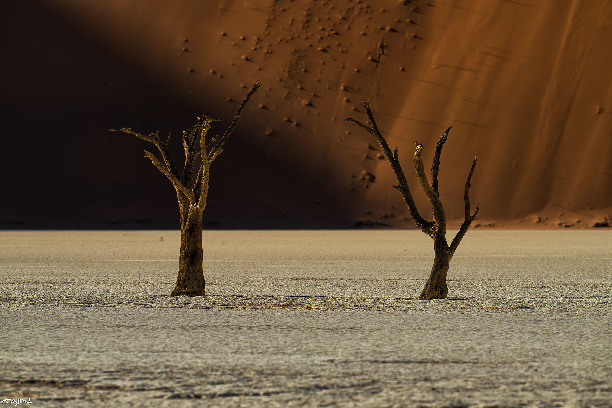 Deadvlei