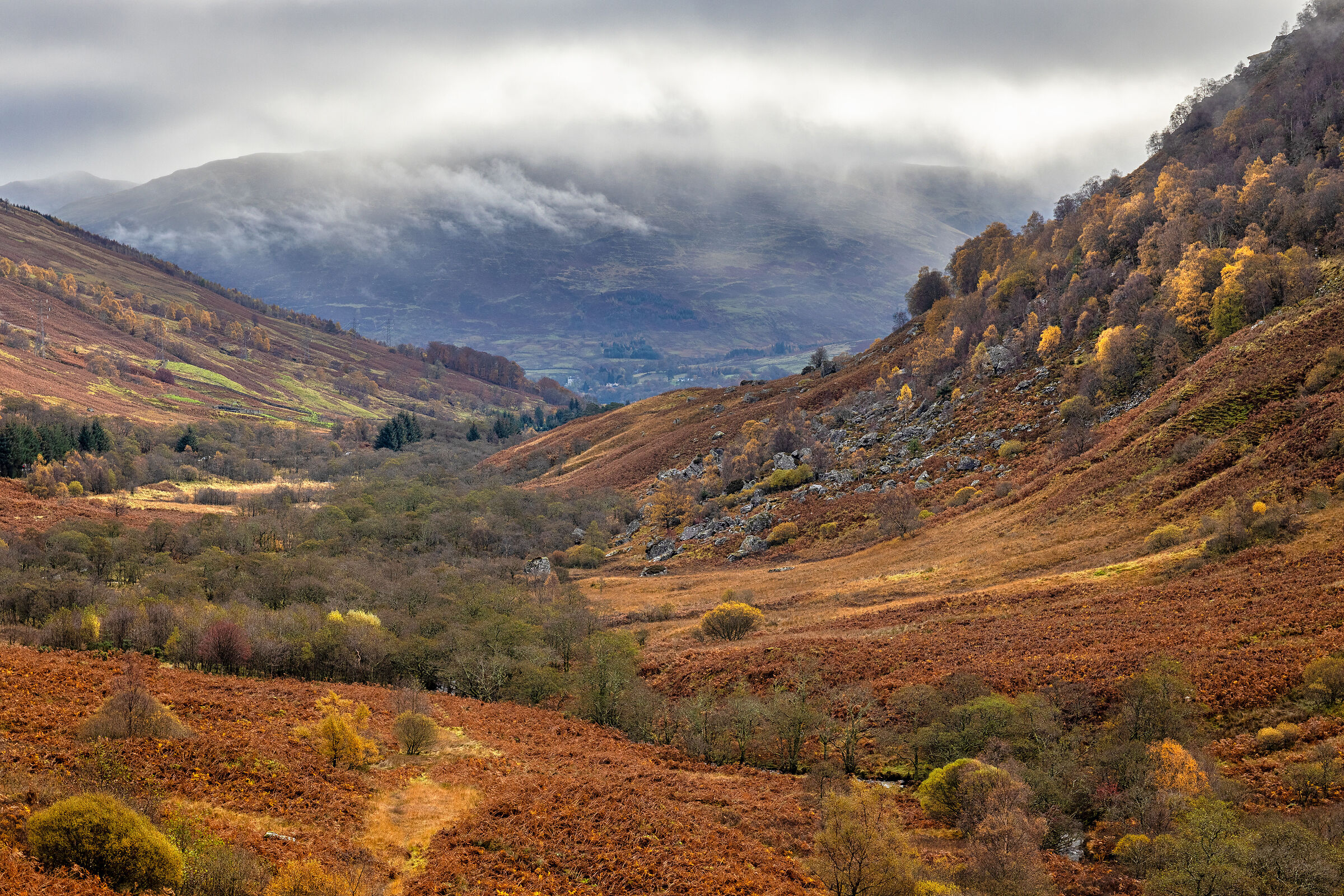 Highlands in autumn