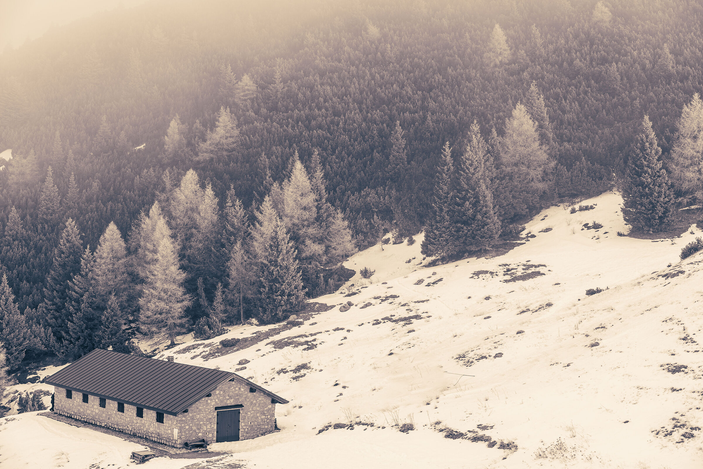 giornata uggiosa a paganella