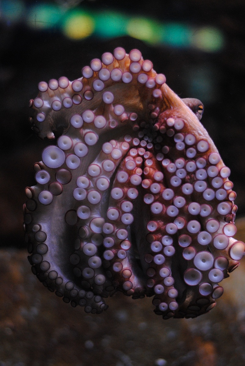 Sotto sotto sono tutti uguali!:D