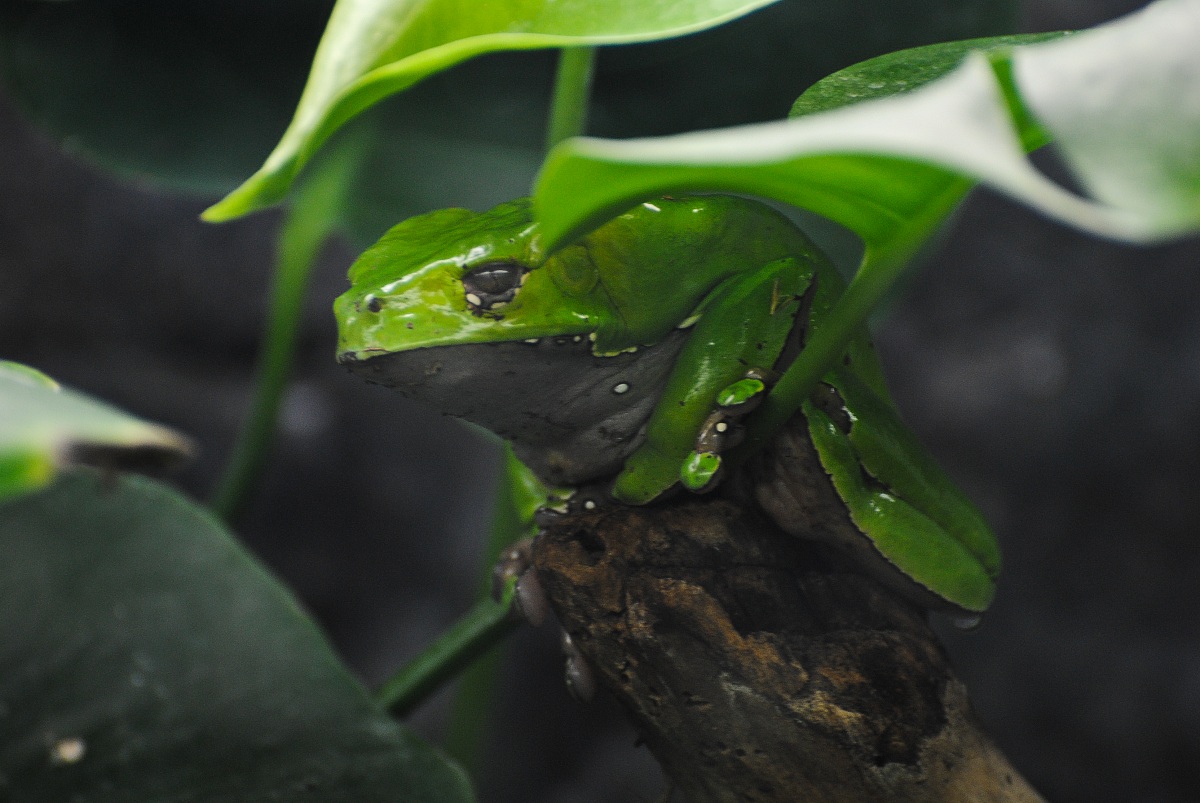 SShhh..non mi vede nessuno!