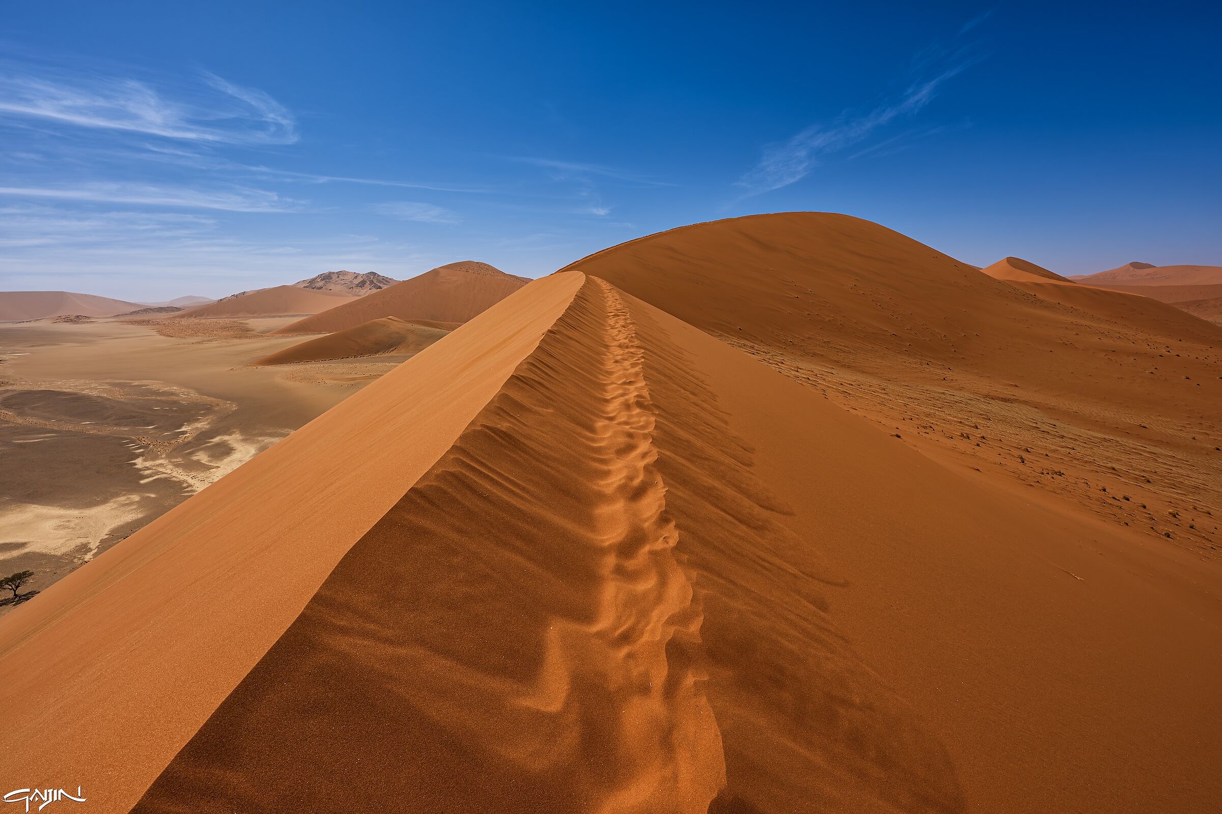 Dune 45