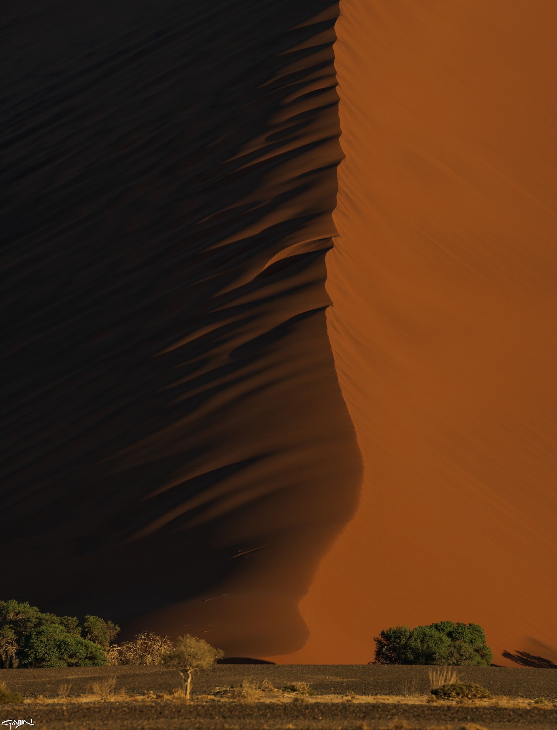 Sossusvlei