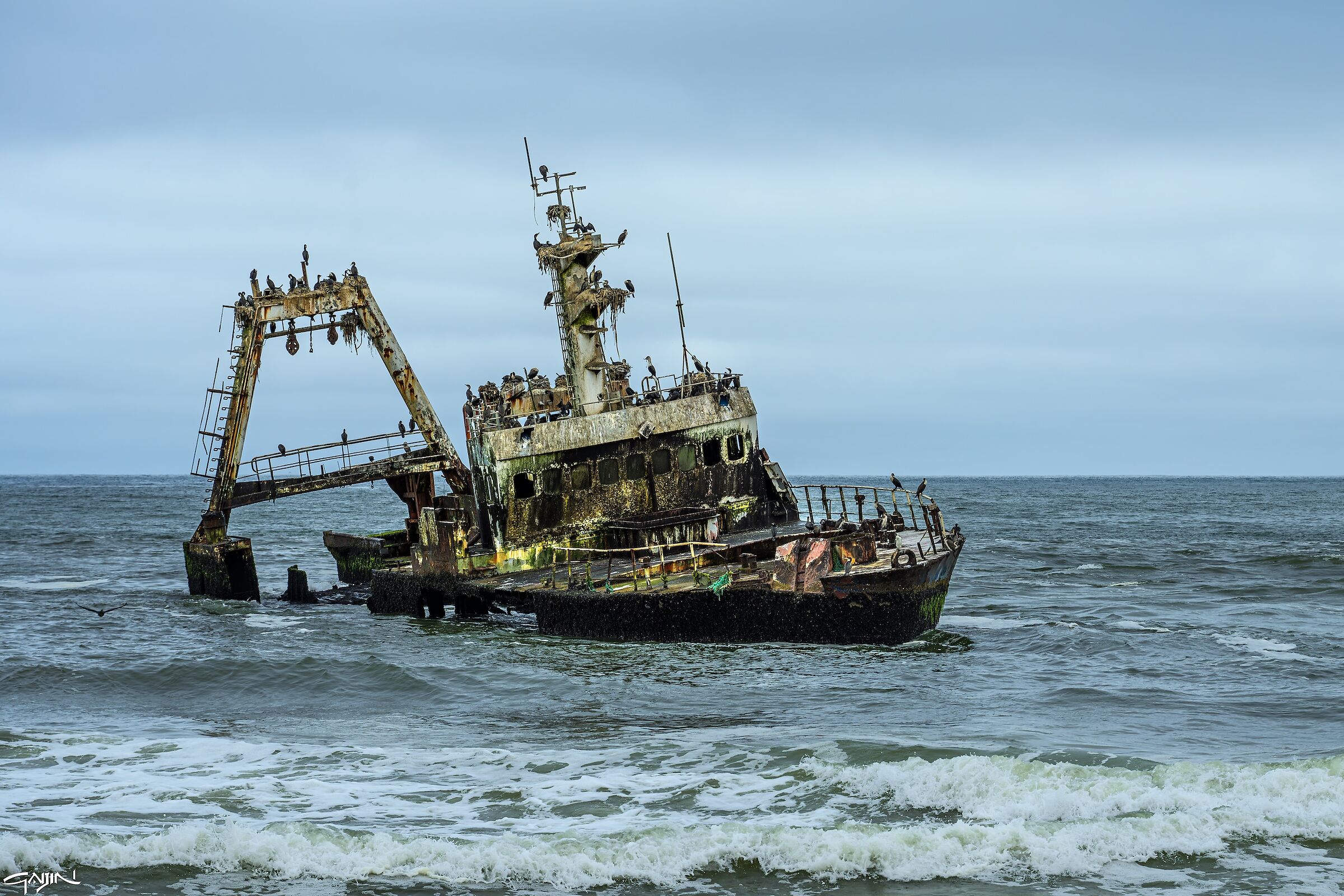 Skeleton coast wreck