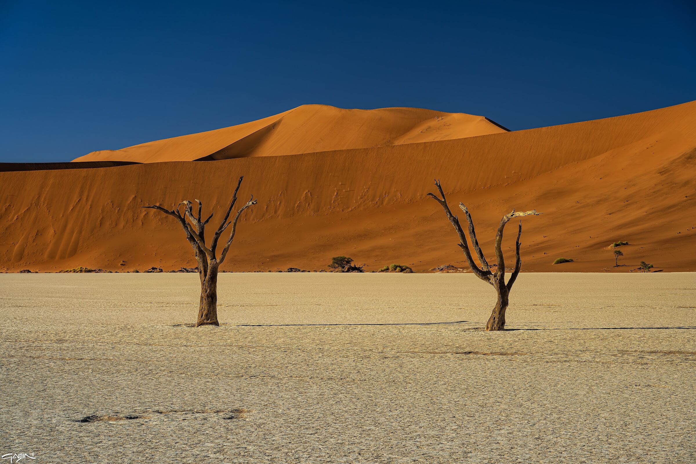 Deadvlei