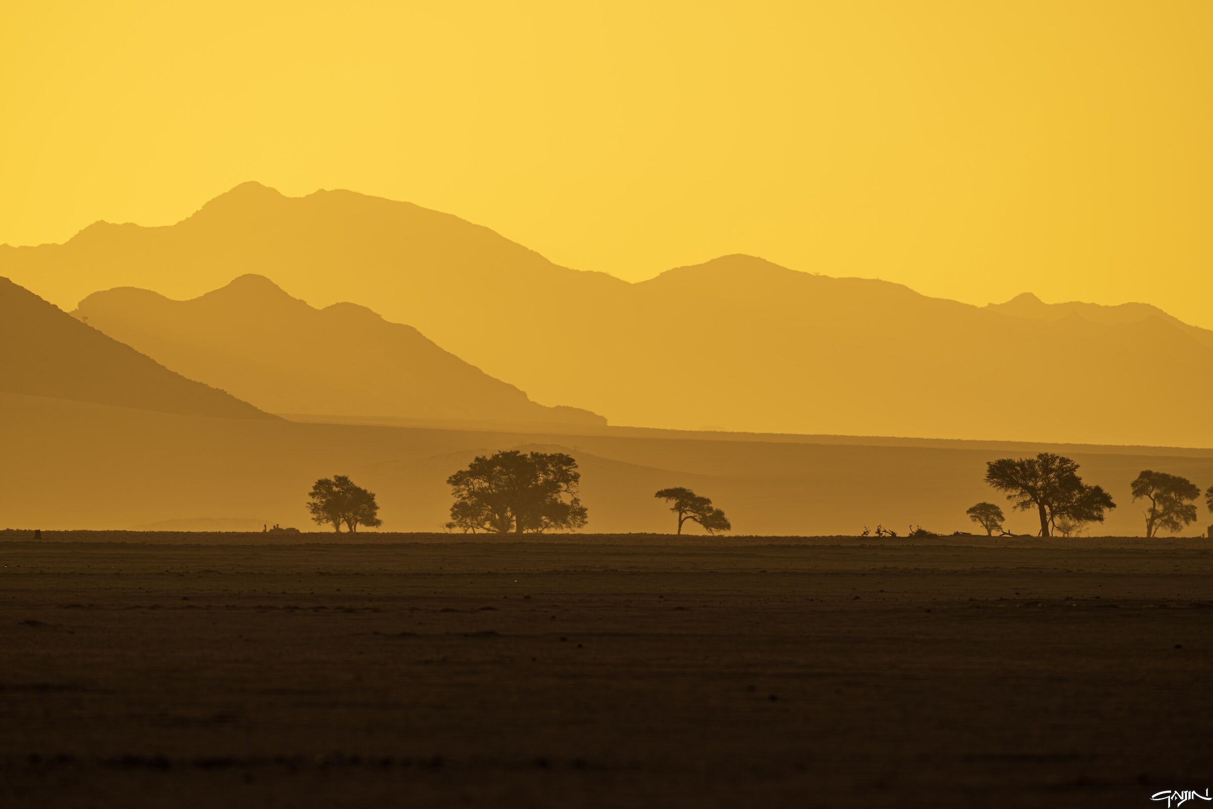 Desert sunset