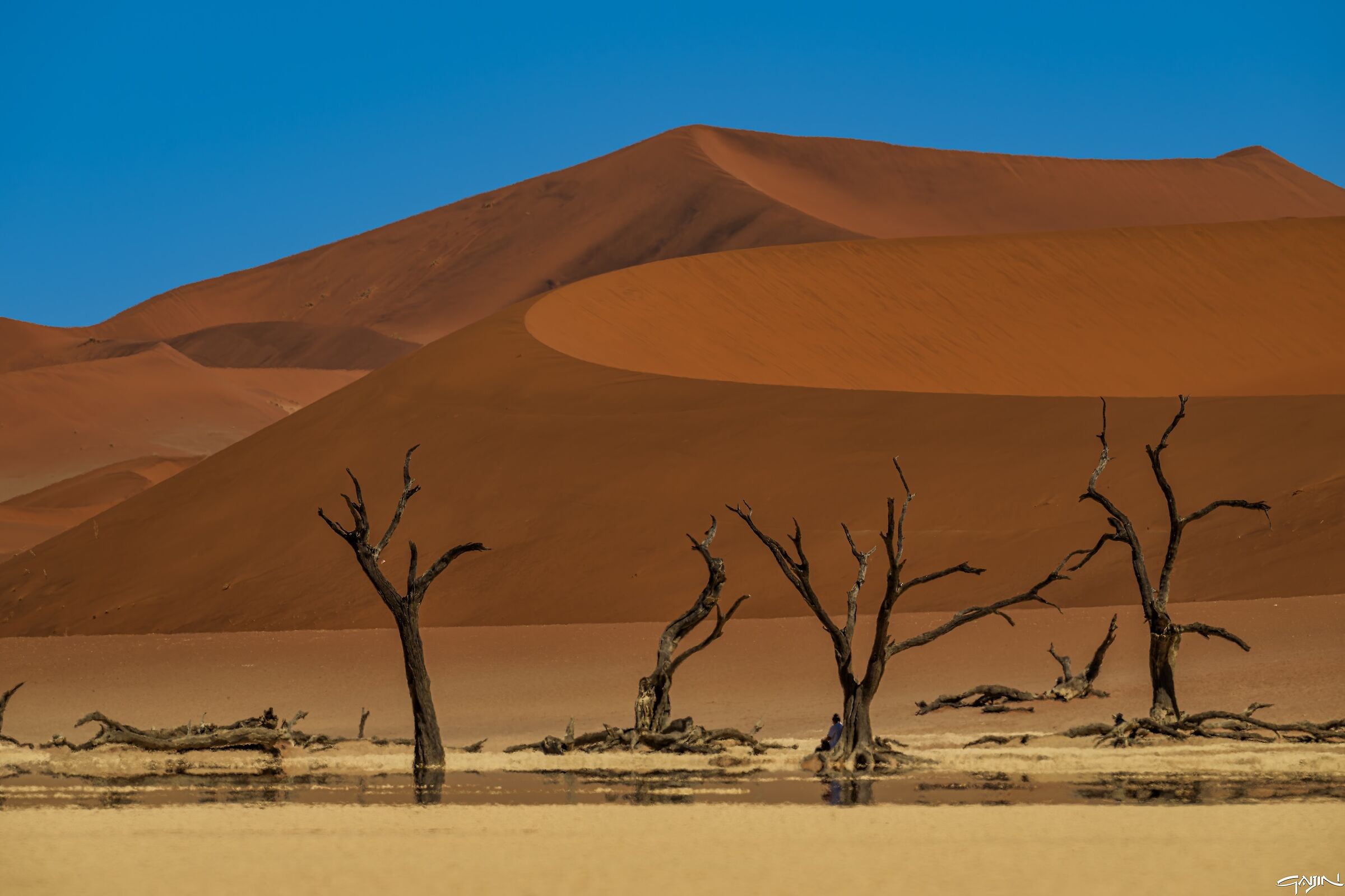 Deadvlei